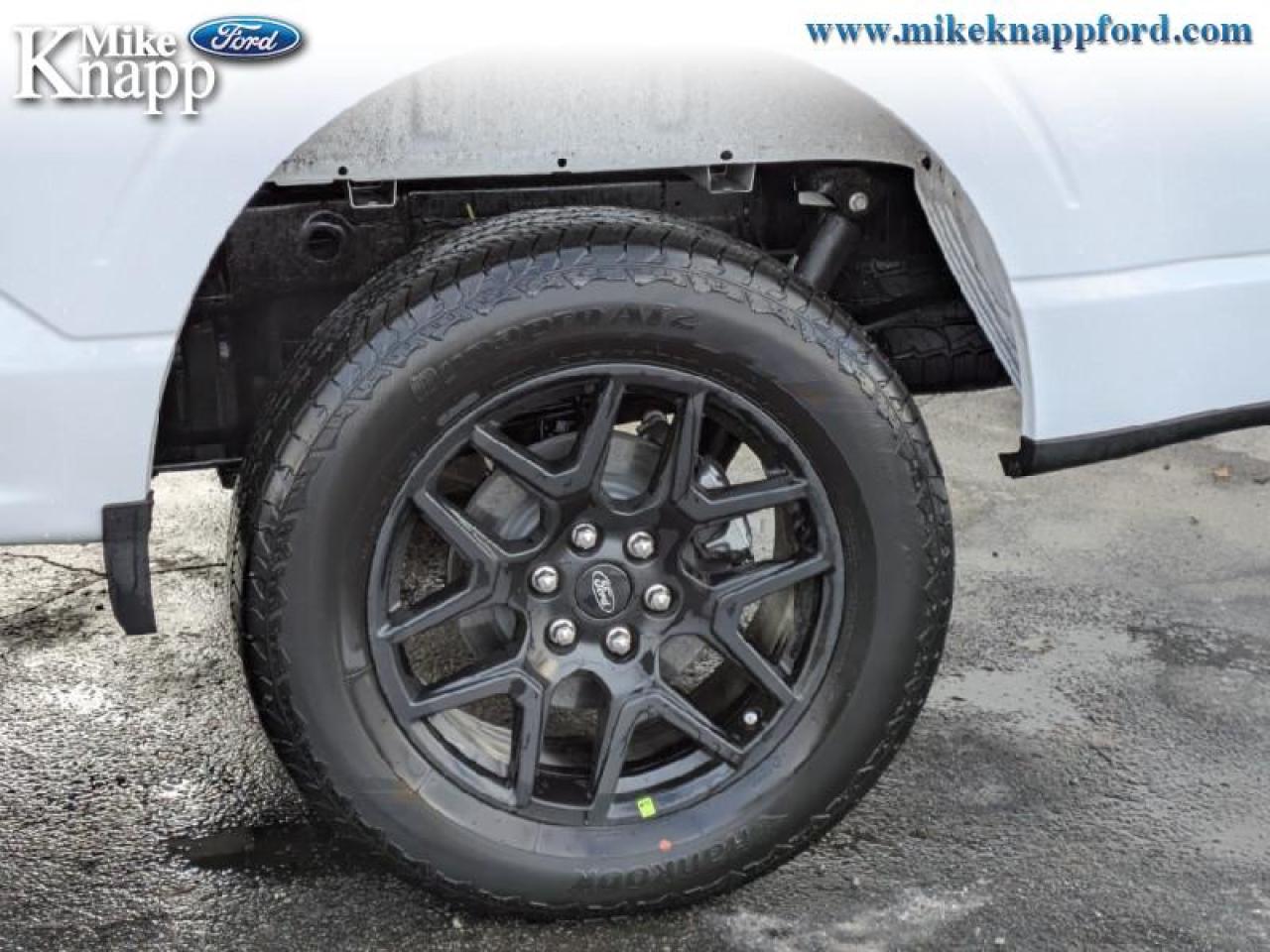 2025 Ford F-150 STX Photo