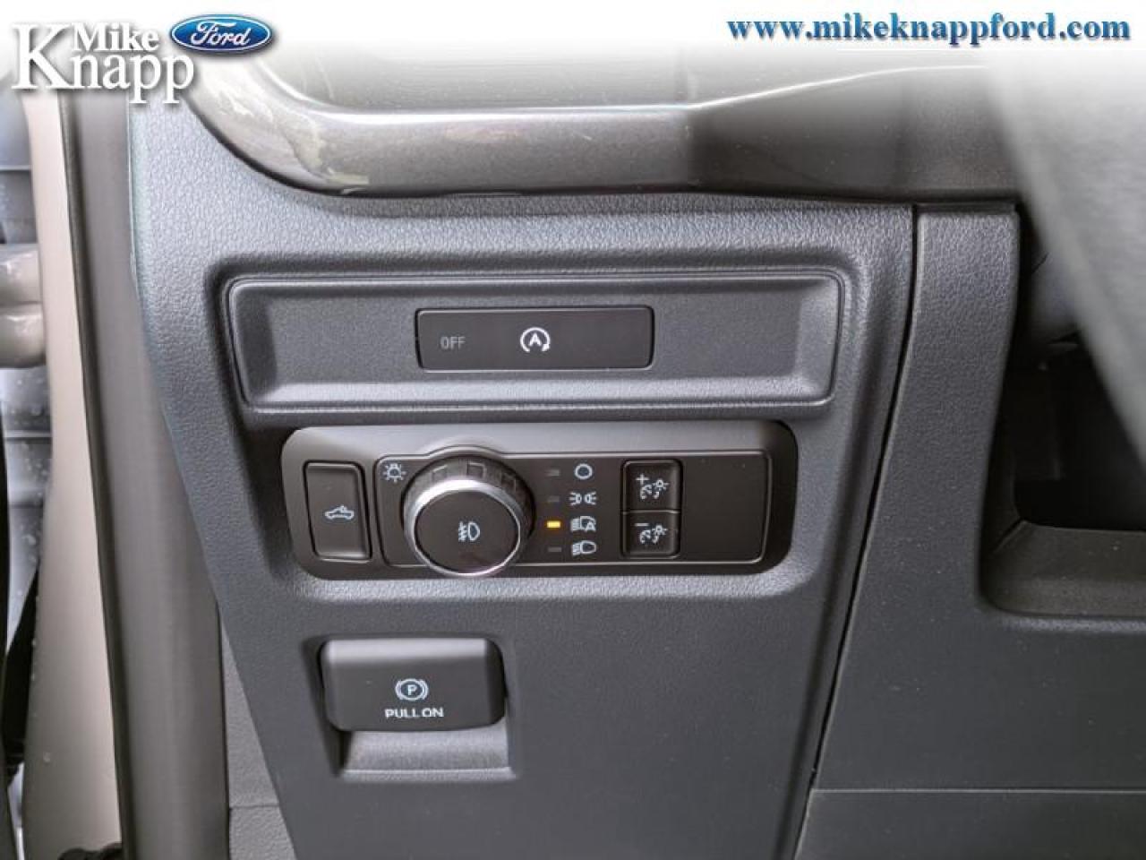 2025 Ford F-150 STX Photo