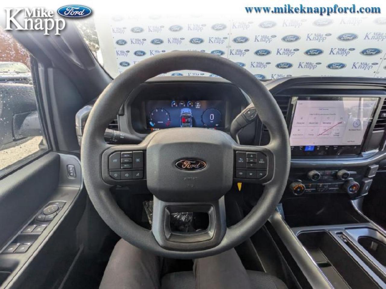 2025 Ford F-150 STX Photo