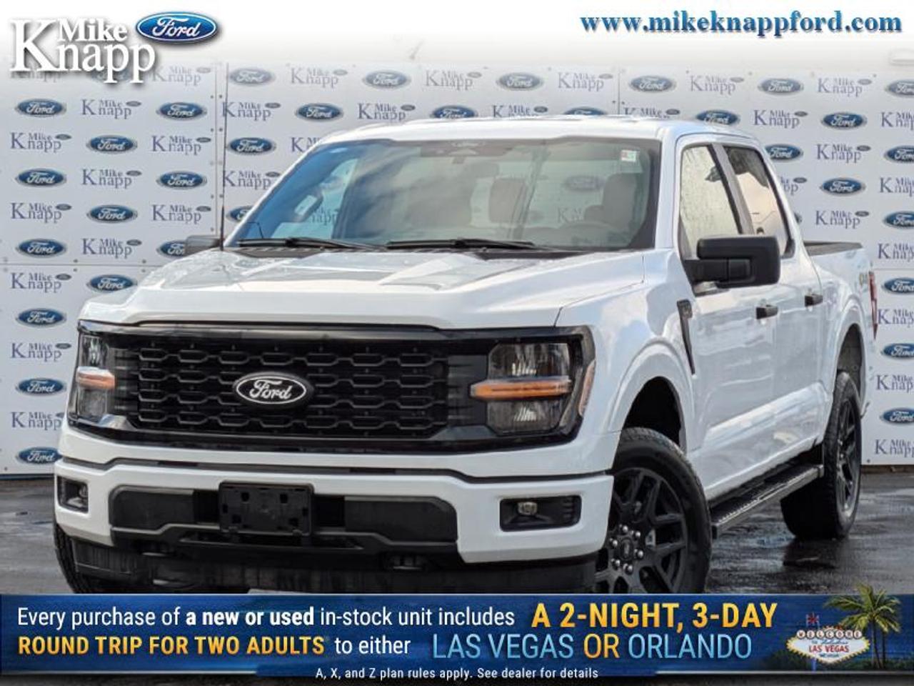 2025 Ford F-150 STX Photo