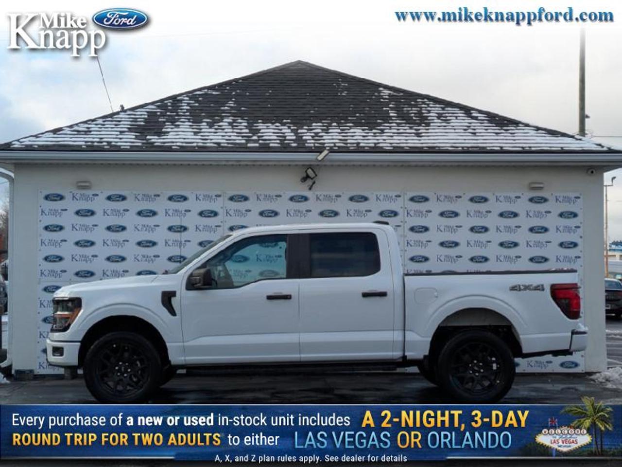 2025 Ford F-150 STX Photo