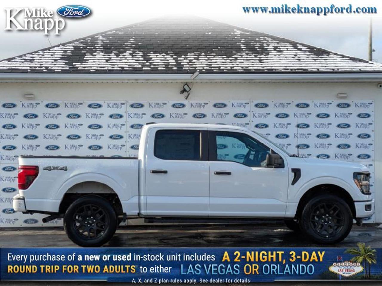 2025 Ford F-150 STX Photo