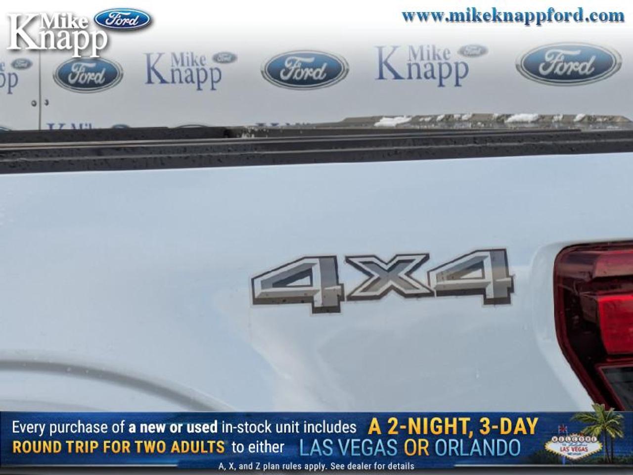 2025 Ford F-150 STX Photo