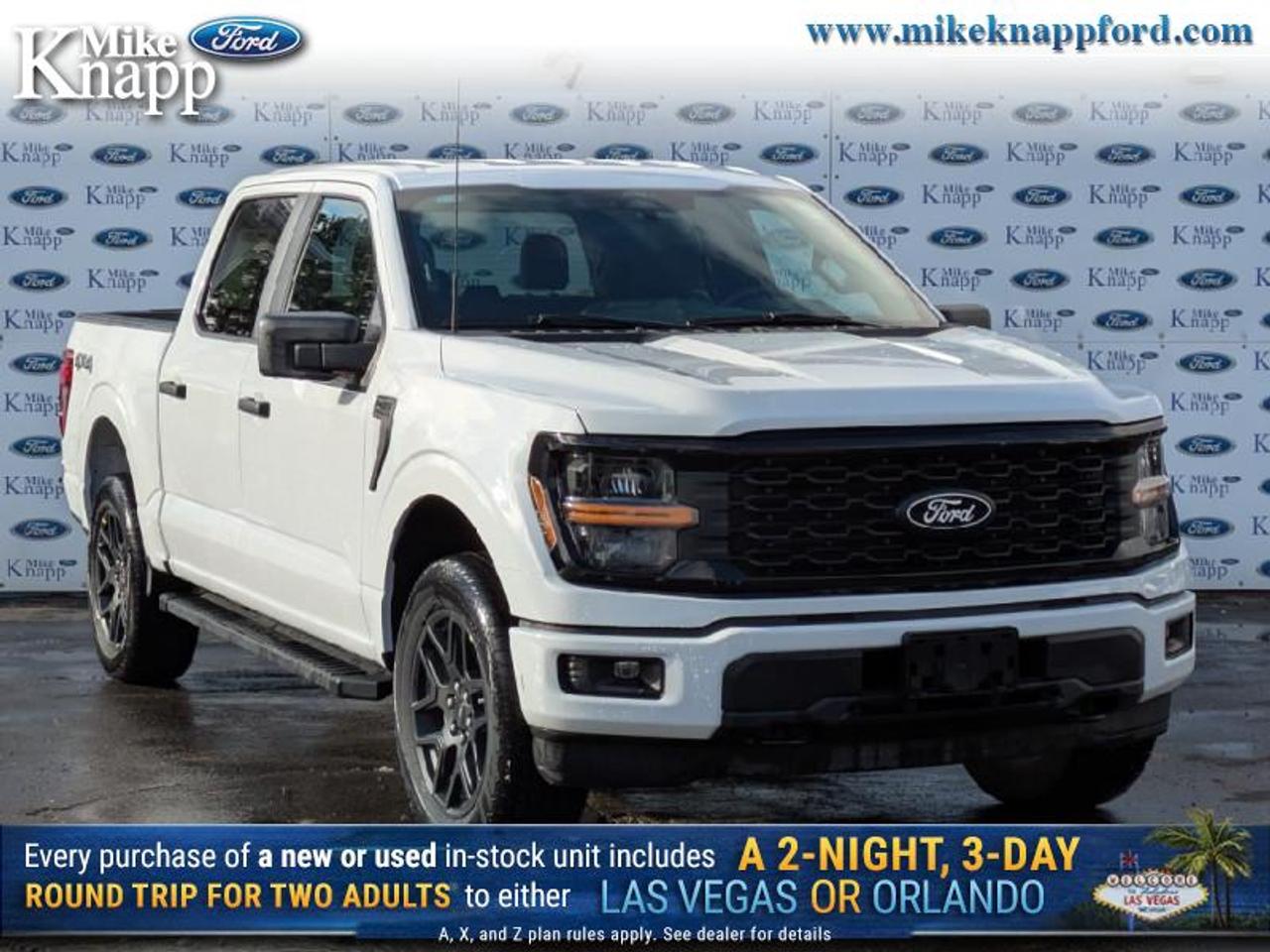 2025 Ford F-150 STX Photo