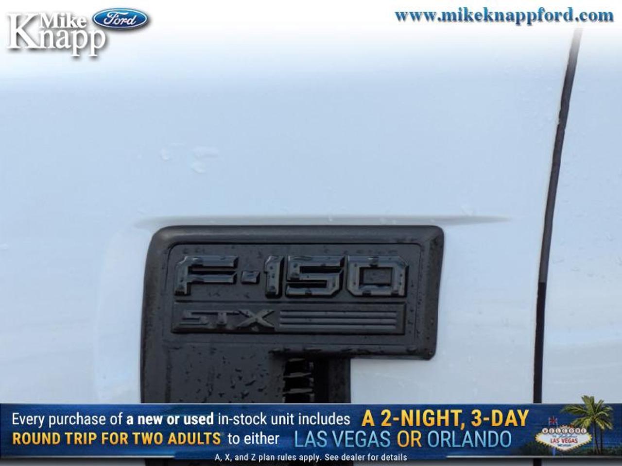 2025 Ford F-150 STX Photo