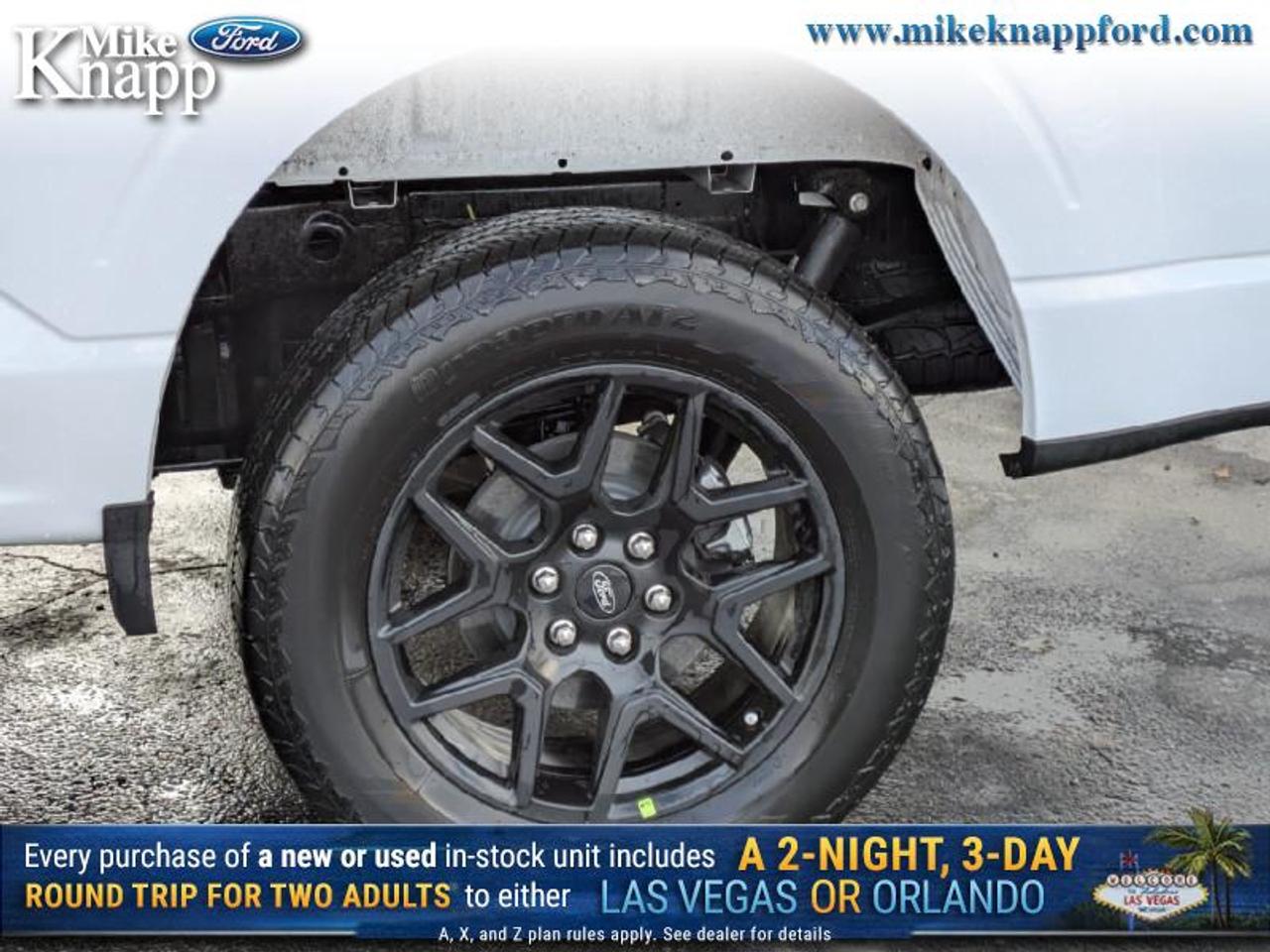 2025 Ford F-150 STX Photo