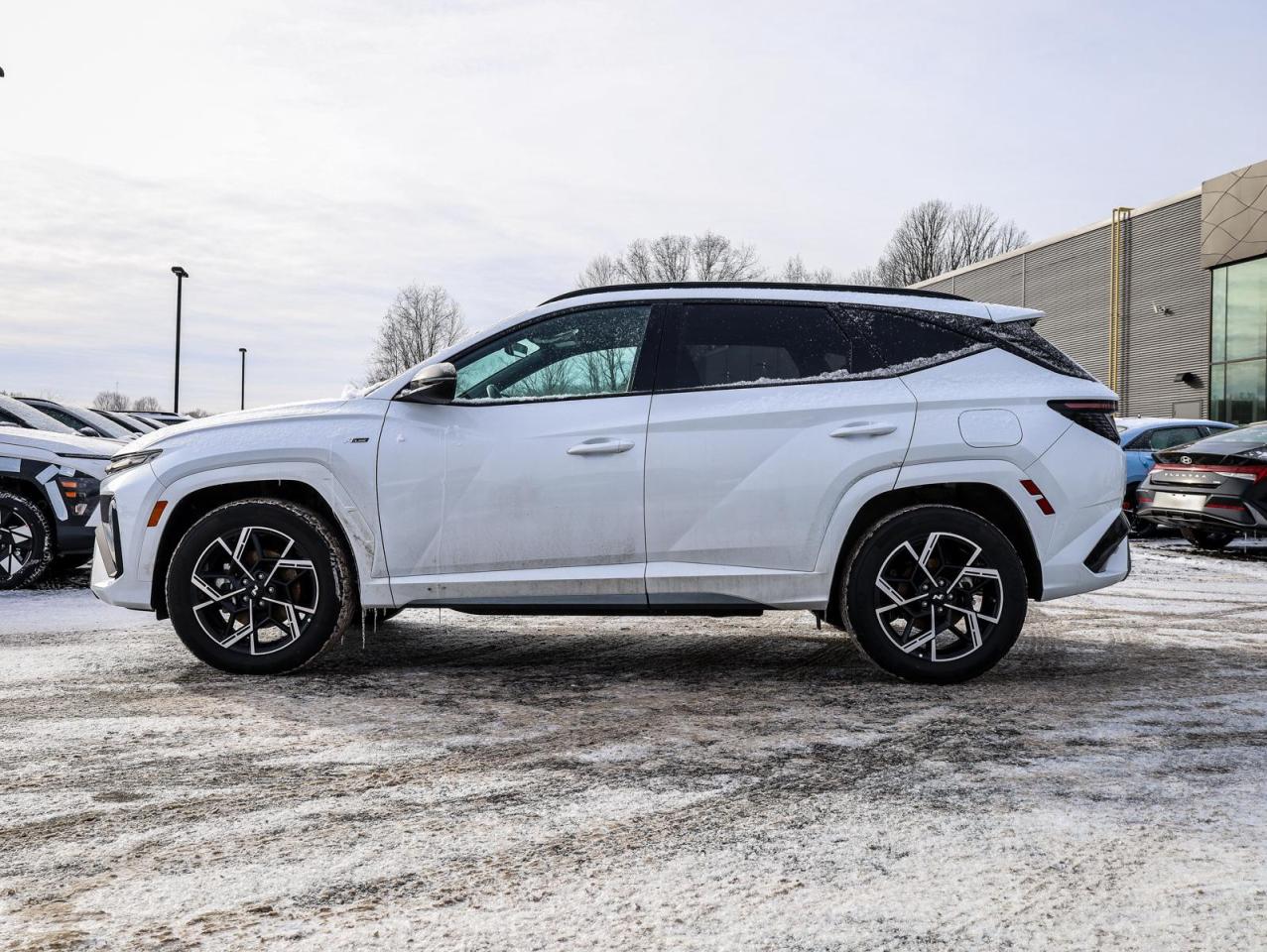 2025 Hyundai Tucson Hybrid N-Line 4dr All-Wheel Drive Photo