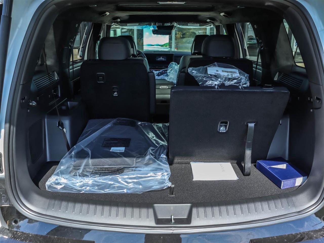 2025 Hyundai Santa Fe Ultimate Calligraphy 4dr All-Wheel Drive Photo