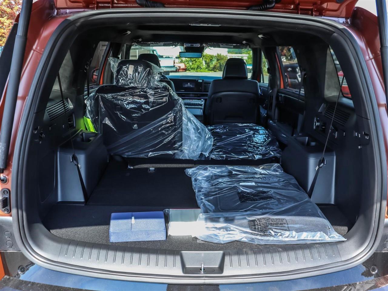2025 Hyundai Santa Fe Ultimate Calligraphy 4dr All-Wheel Drive Photo
