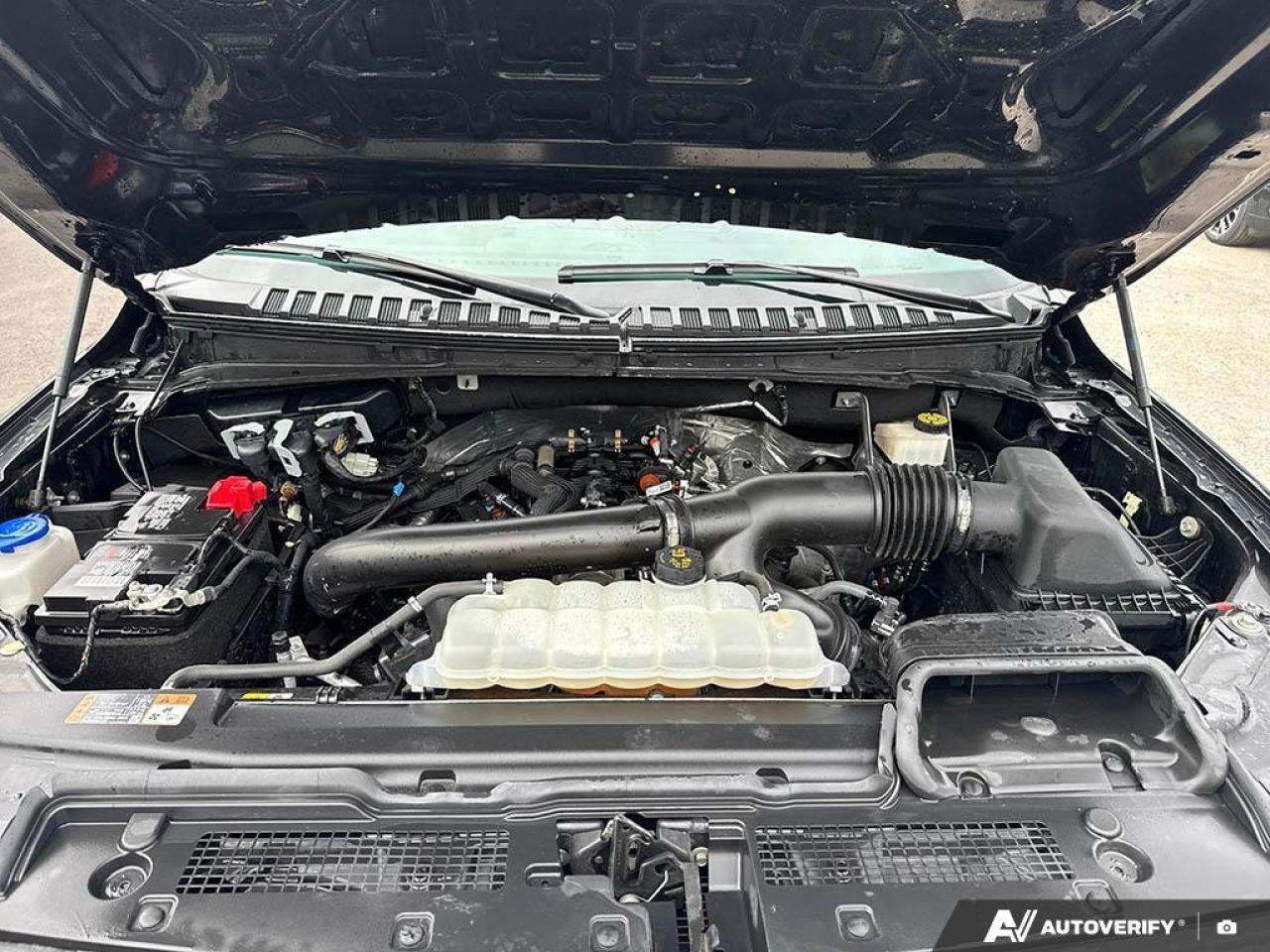 2024 Ford Expedition Max Limited 4dr 4x4 Photo