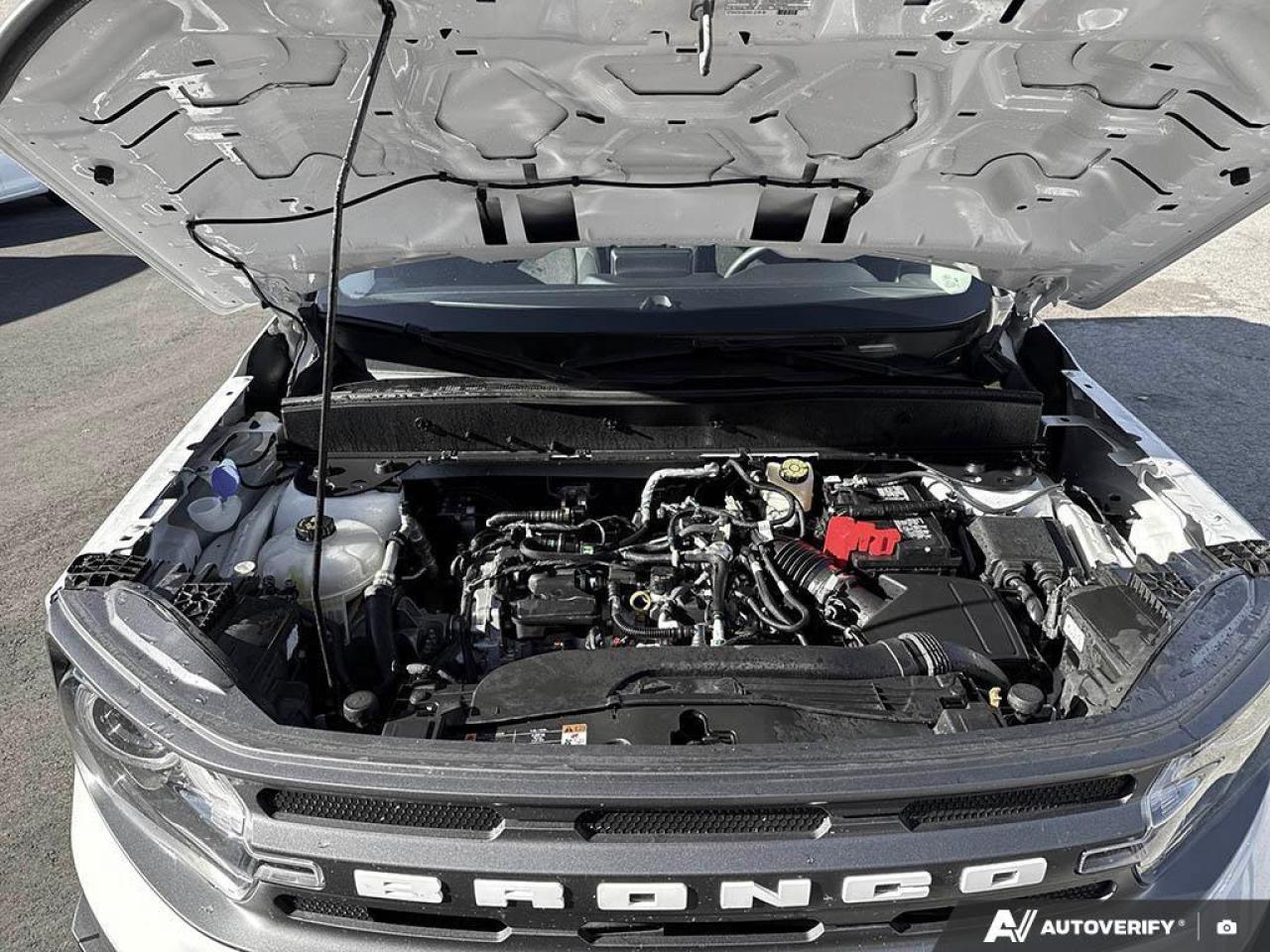 2024 Ford Bronco Sport Big Bend 4dr 4x4 Photo