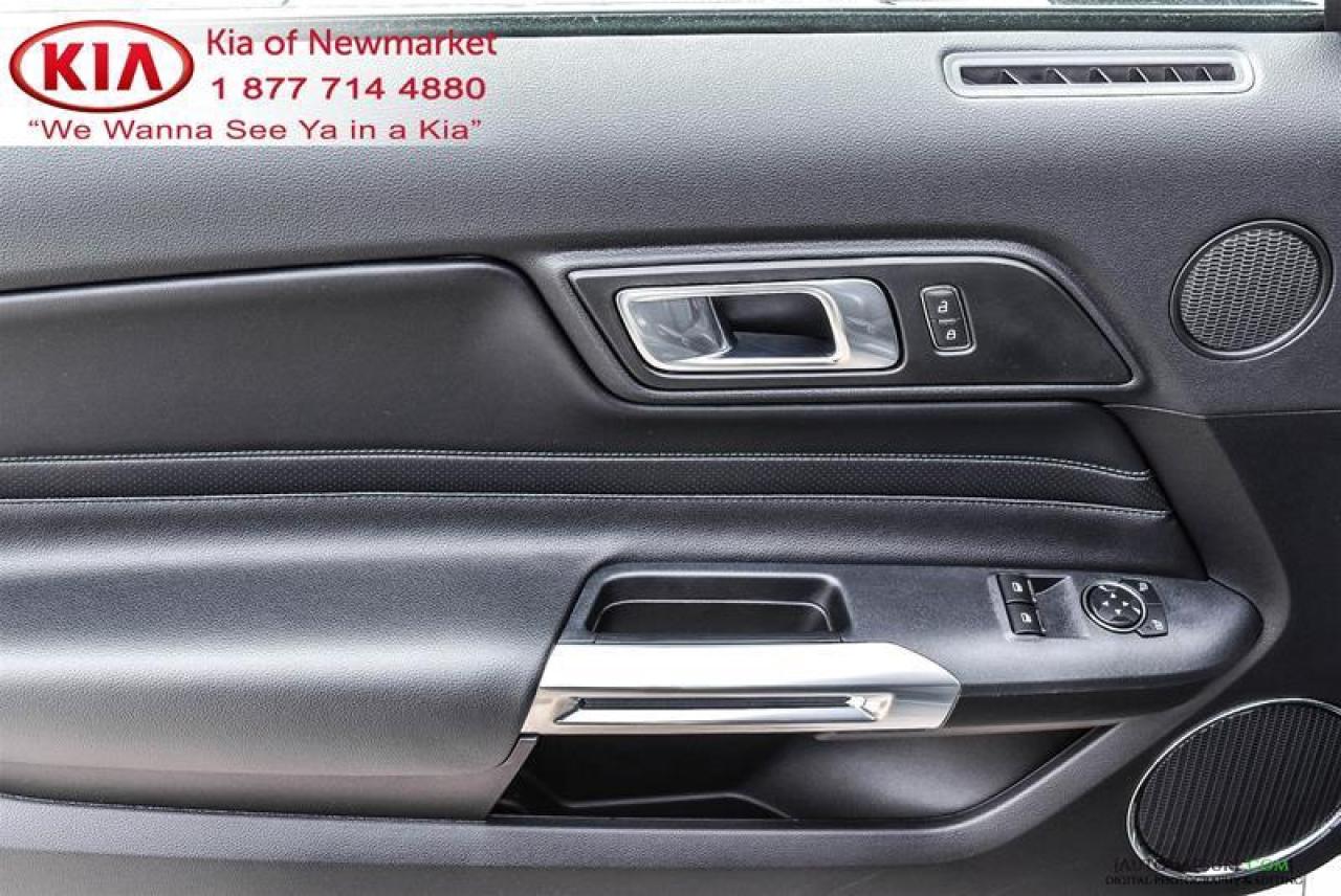 2019 Ford Mustang BULLITT 2dr Fastback Photo