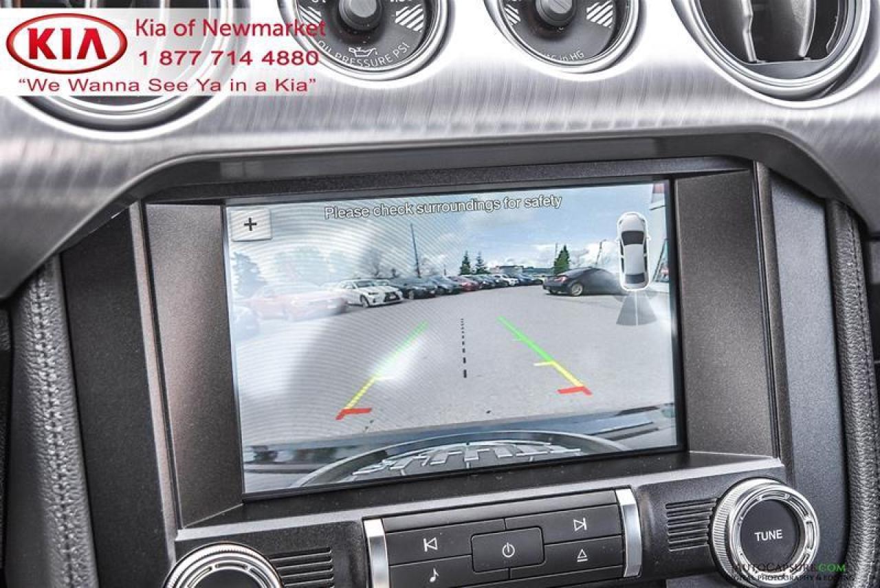 2019 Ford Mustang BULLITT 2dr Fastback Photo