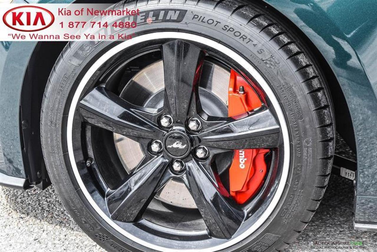 2019 Ford Mustang BULLITT 2dr Fastback Photo