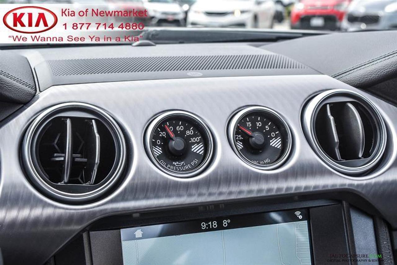 2019 Ford Mustang BULLITT 2dr Fastback Photo