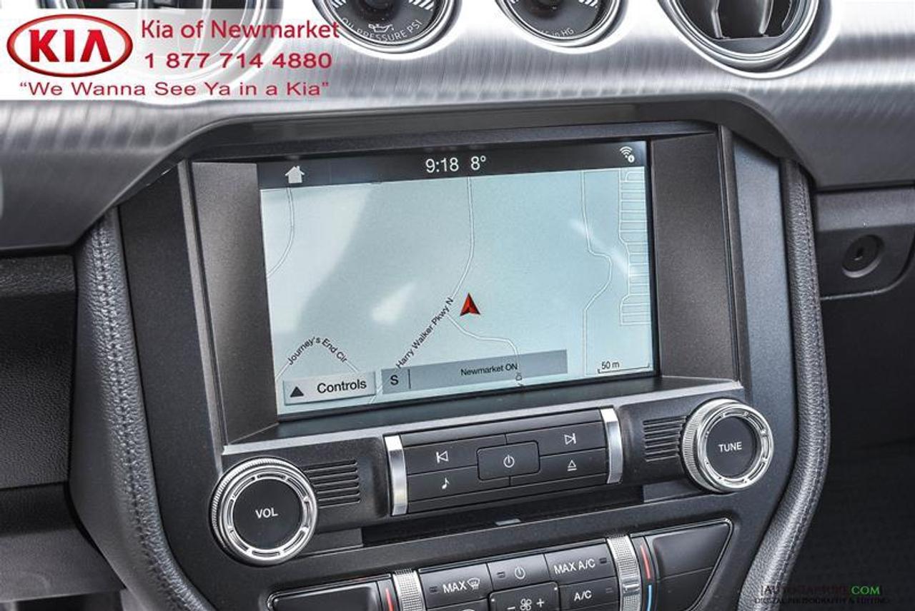 2019 Ford Mustang BULLITT 2dr Fastback Photo