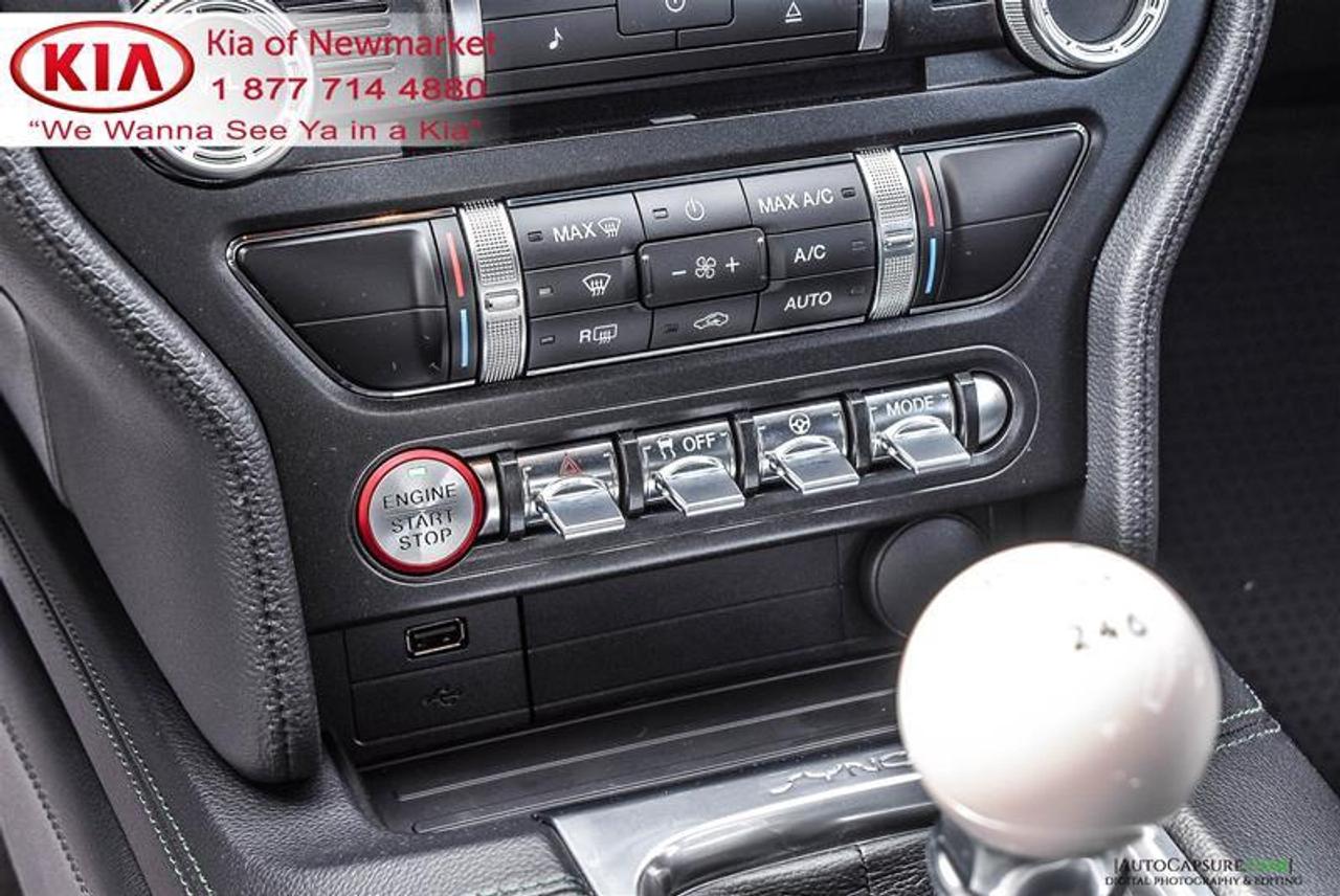 2019 Ford Mustang BULLITT 2dr Fastback Photo