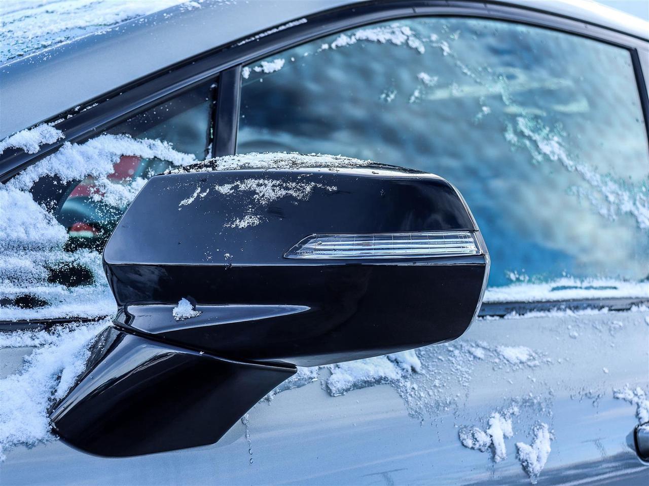 2024 Honda Prologue EX-L 4dr All-Wheel Drive Photo