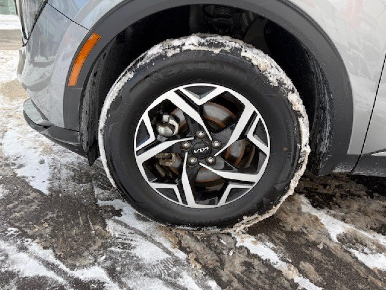 2024 Kia Sportage LX AWD Photo