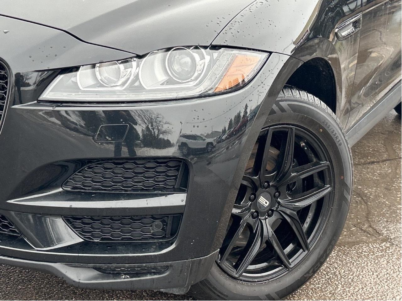 2019 Jaguar F-PACE Prestige AWD/LEATHER/NAV/PWR ROOF CALL PICTON Photo