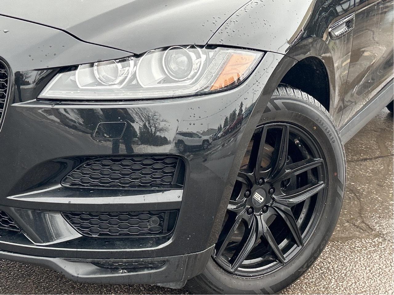2019 Jaguar F-PACE Prestige AWD/LEATHER/NAV/PWR ROOF CALL PICTON Photo