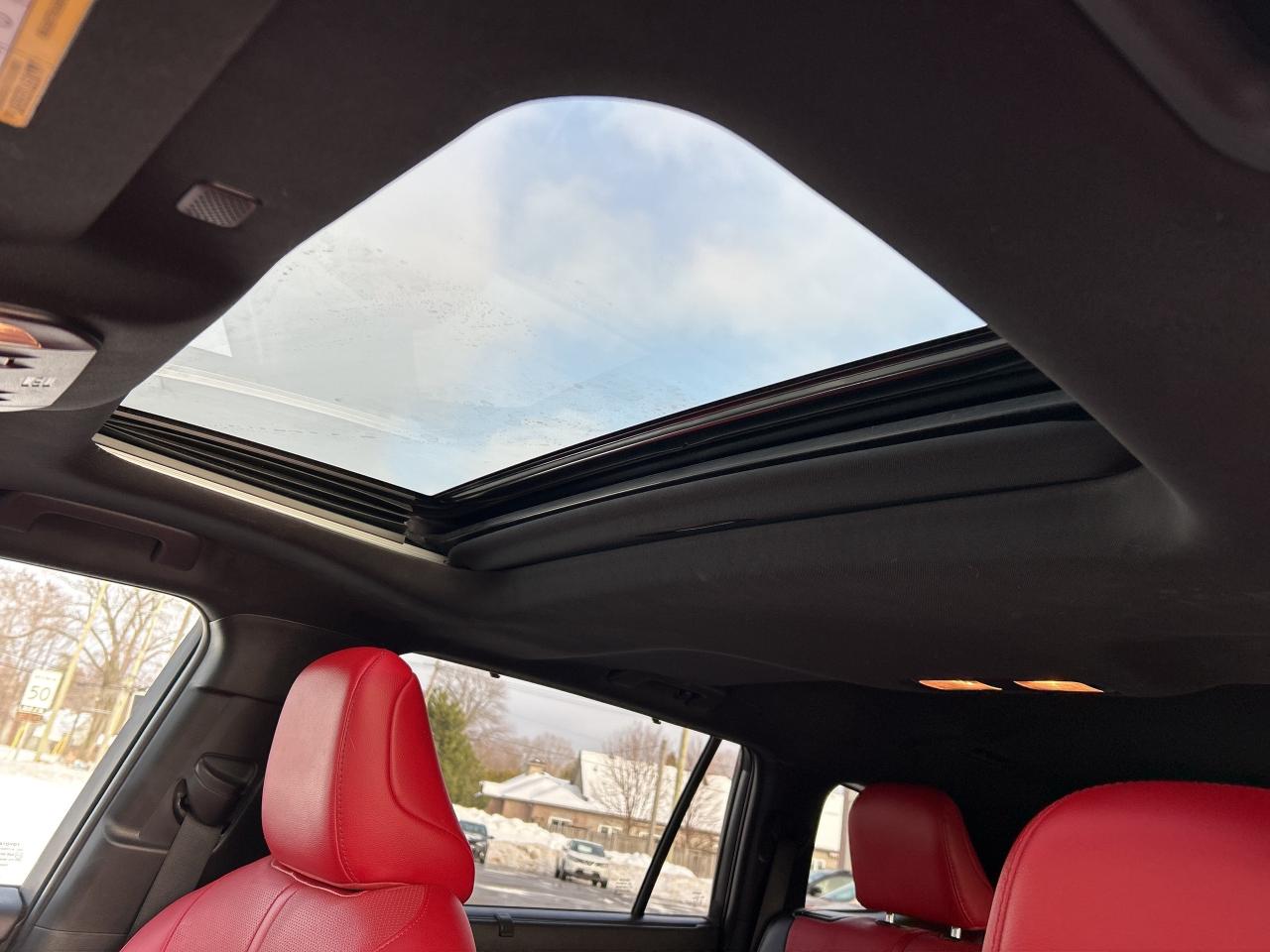 2022 Toyota Highlander XSE, RARE COLOR COMBO *BELLEVILLE 613-961-8848* Photo