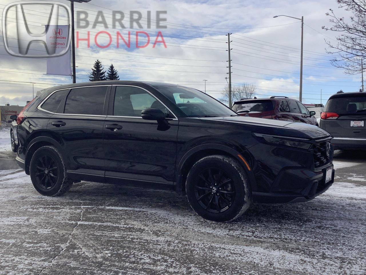 2024 Honda CR-V Hybrid EX-L 4dr All-Wheel Drive Photo