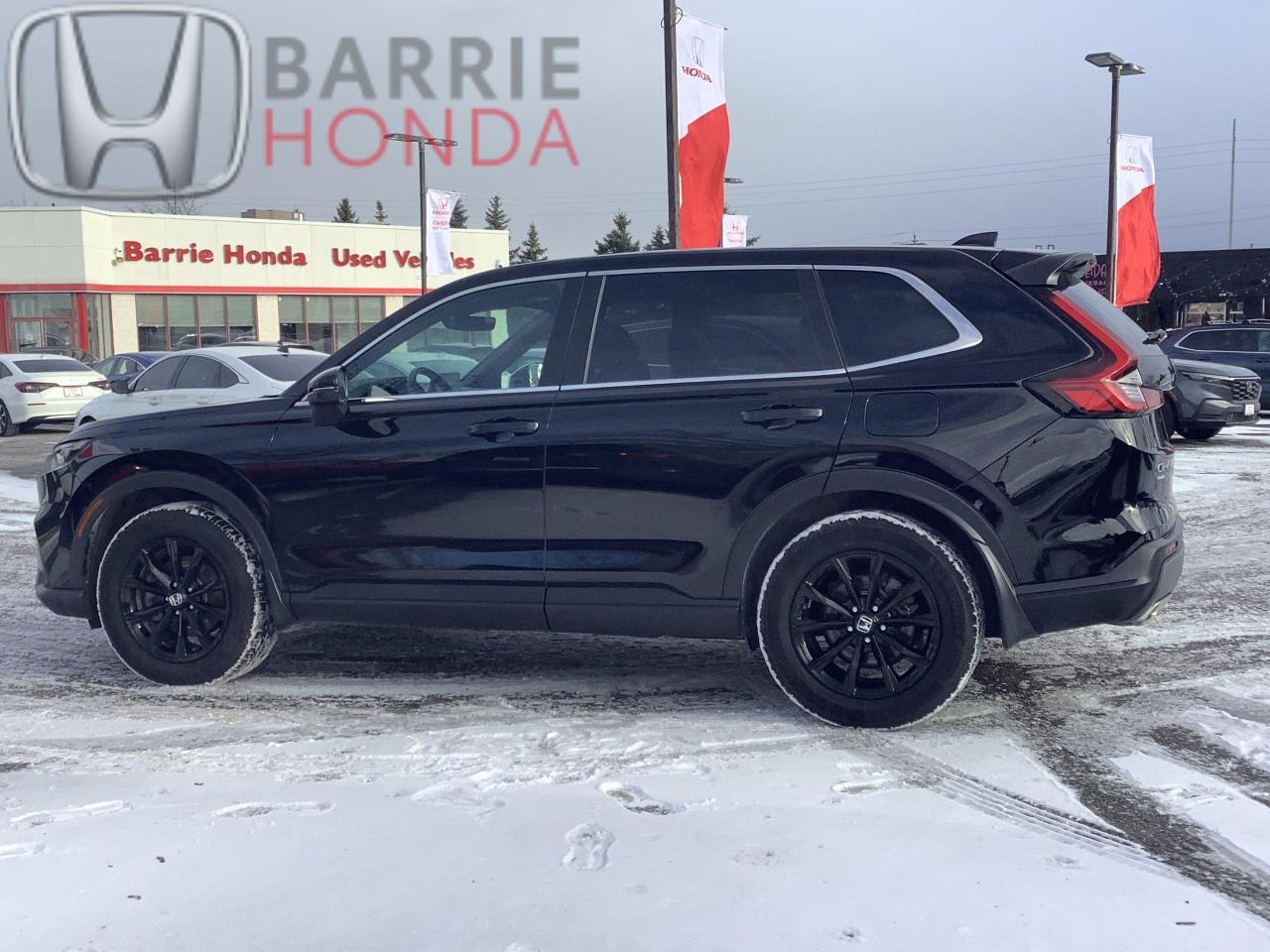 2024 Honda CR-V Hybrid EX-L 4dr All-Wheel Drive Photo