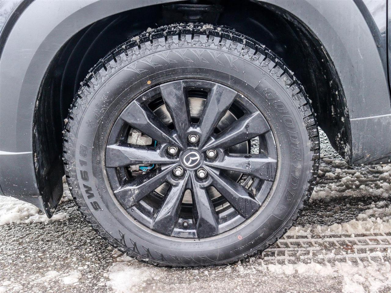 2024 Mazda CX-50 GS-L 4dr All-Wheel Drive Sport Utility Photo