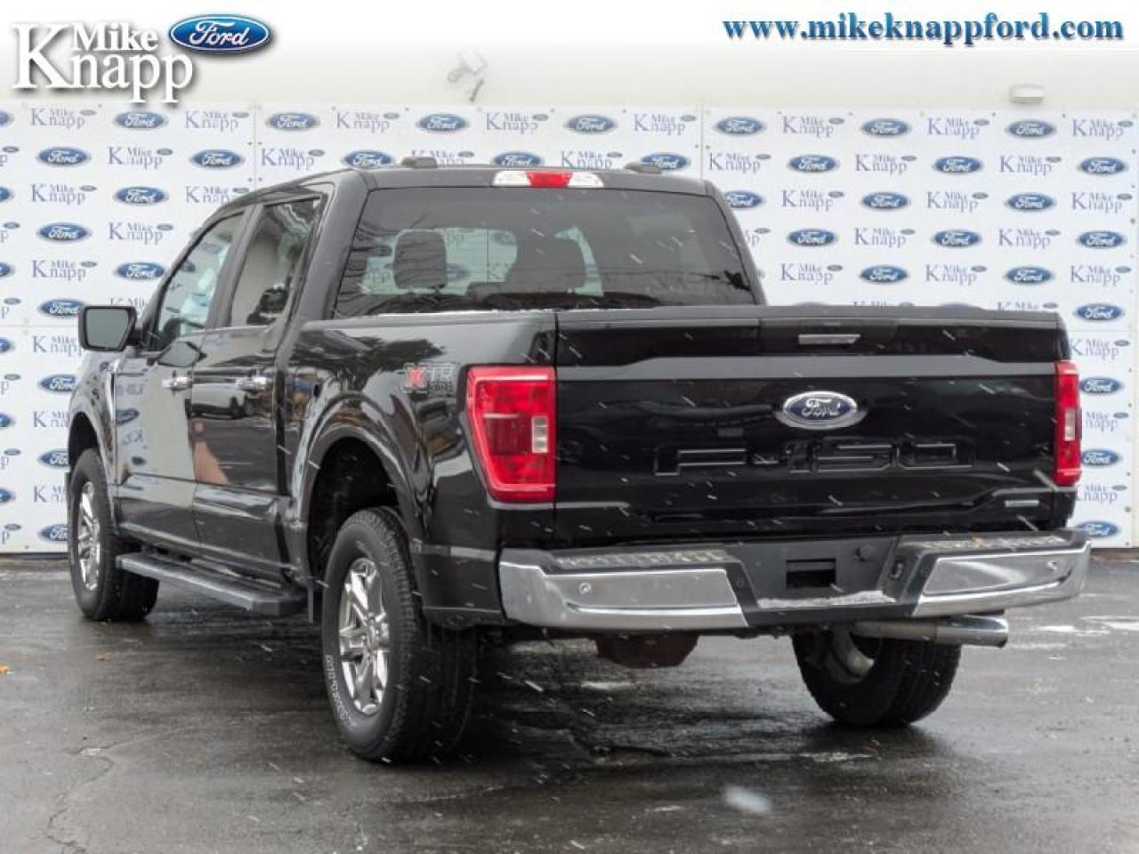 2021 Ford F-150 XLT Photo