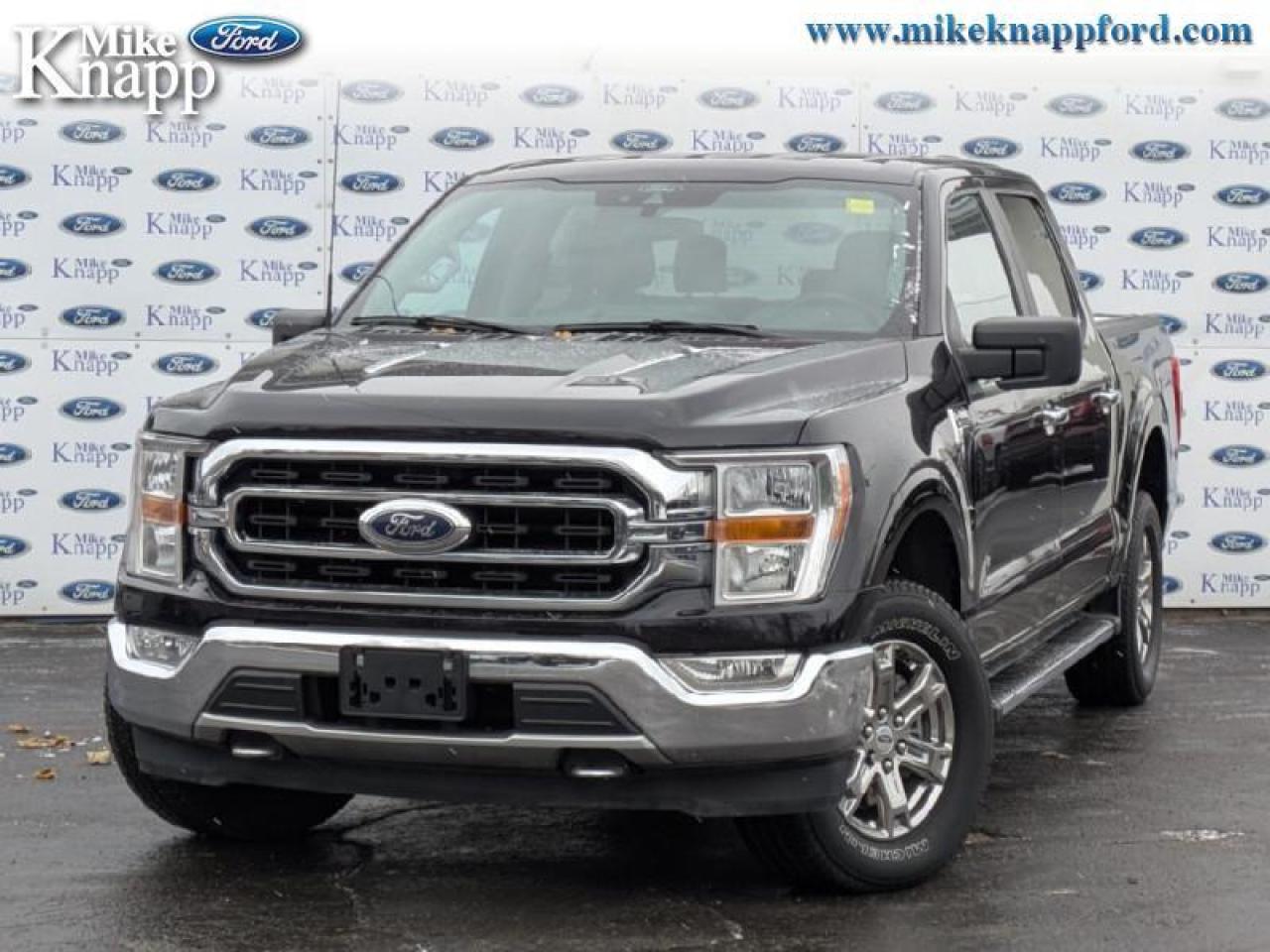 2021 Ford F-150 XLT Photo0