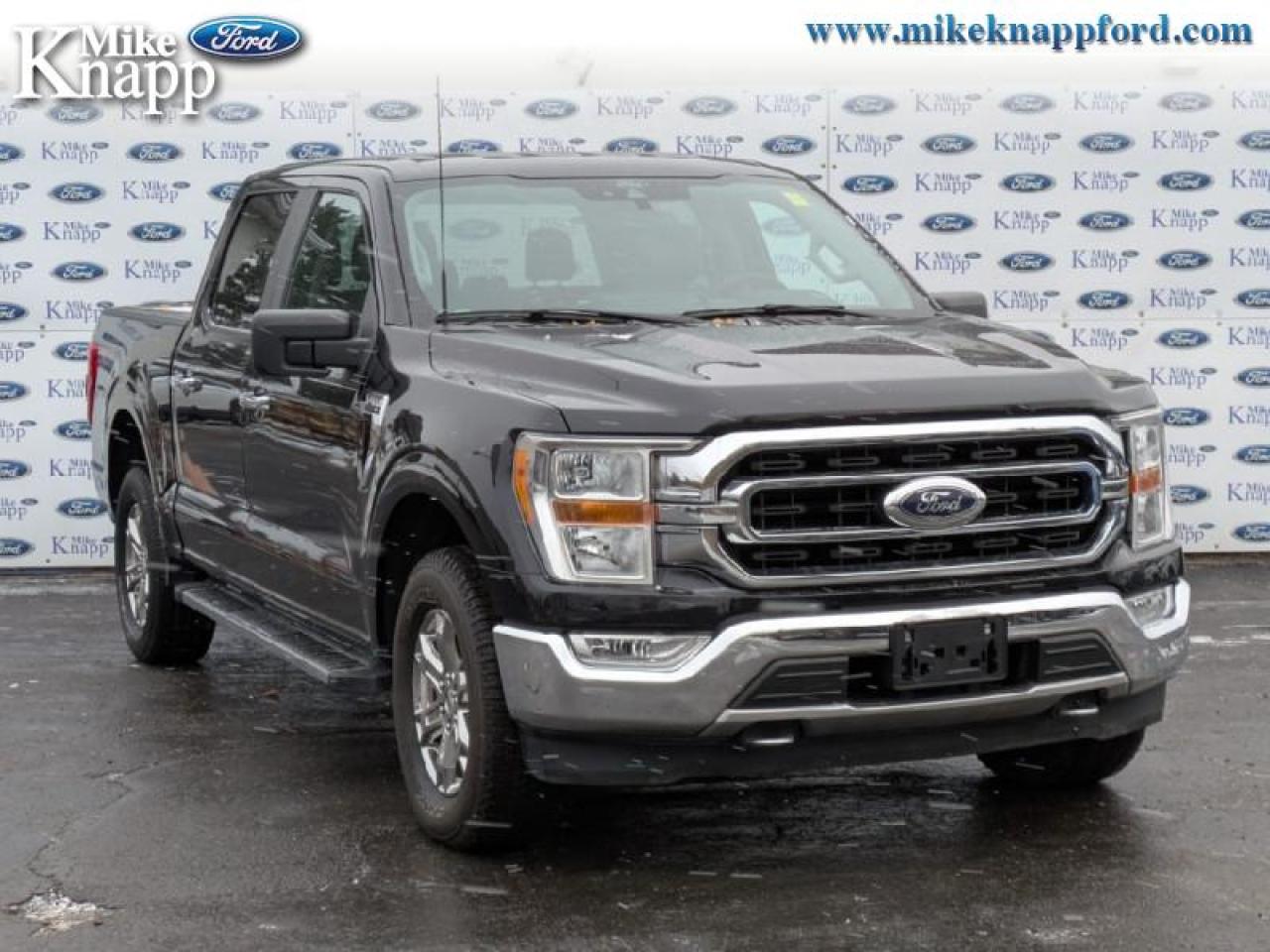 2021 Ford F-150 XLT Photo