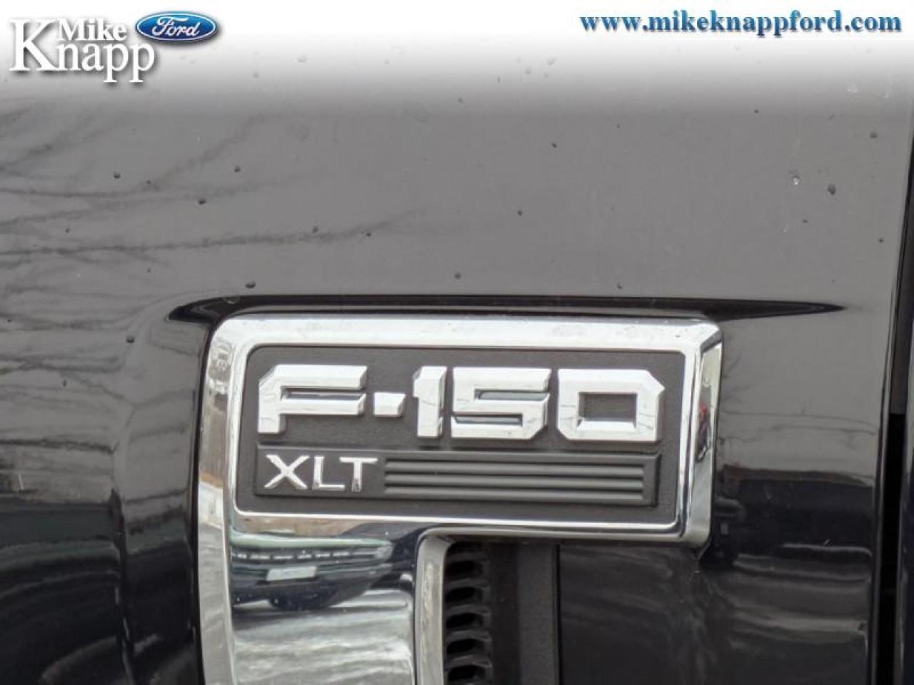 2021 Ford F-150 XLT Photo