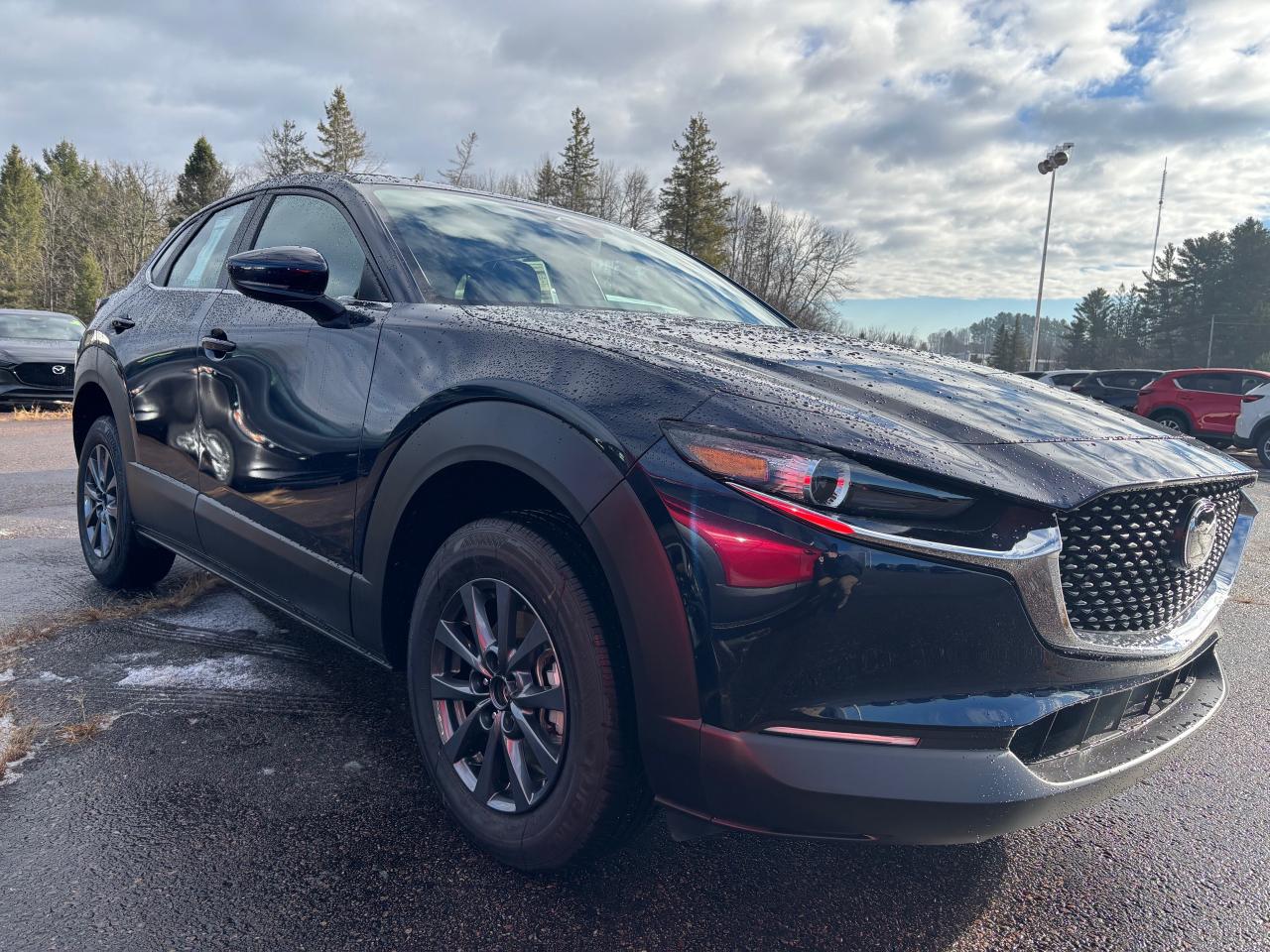 2025 Mazda CX-30 GX 4dr i-ACTIV All-Wheel Drive Sport Utility Photo