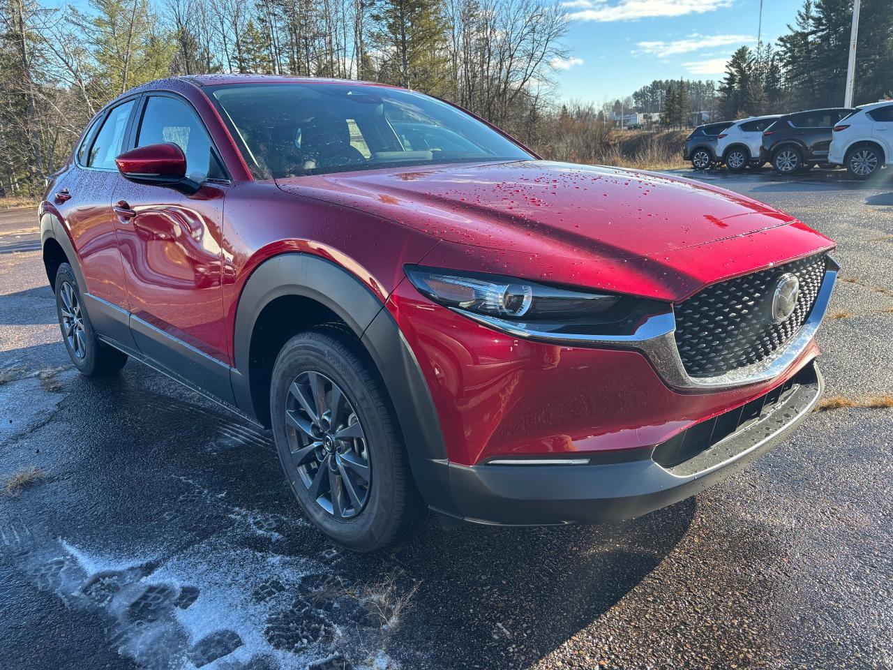 2025 Mazda CX-30 GX 4dr i-ACTIV All-Wheel Drive Sport Utility Photo