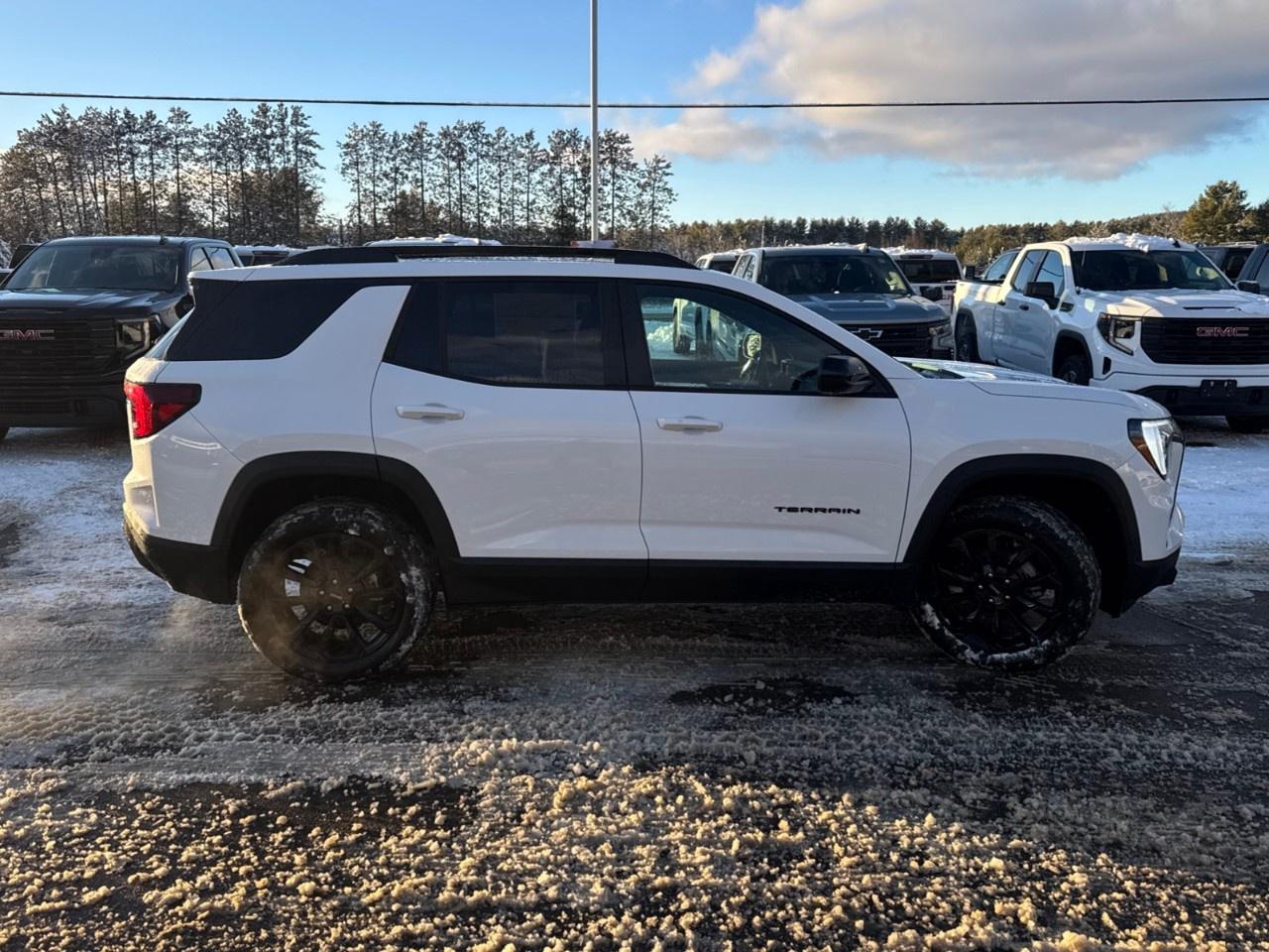 2026 GMC Terrain AWD Elevation Photo