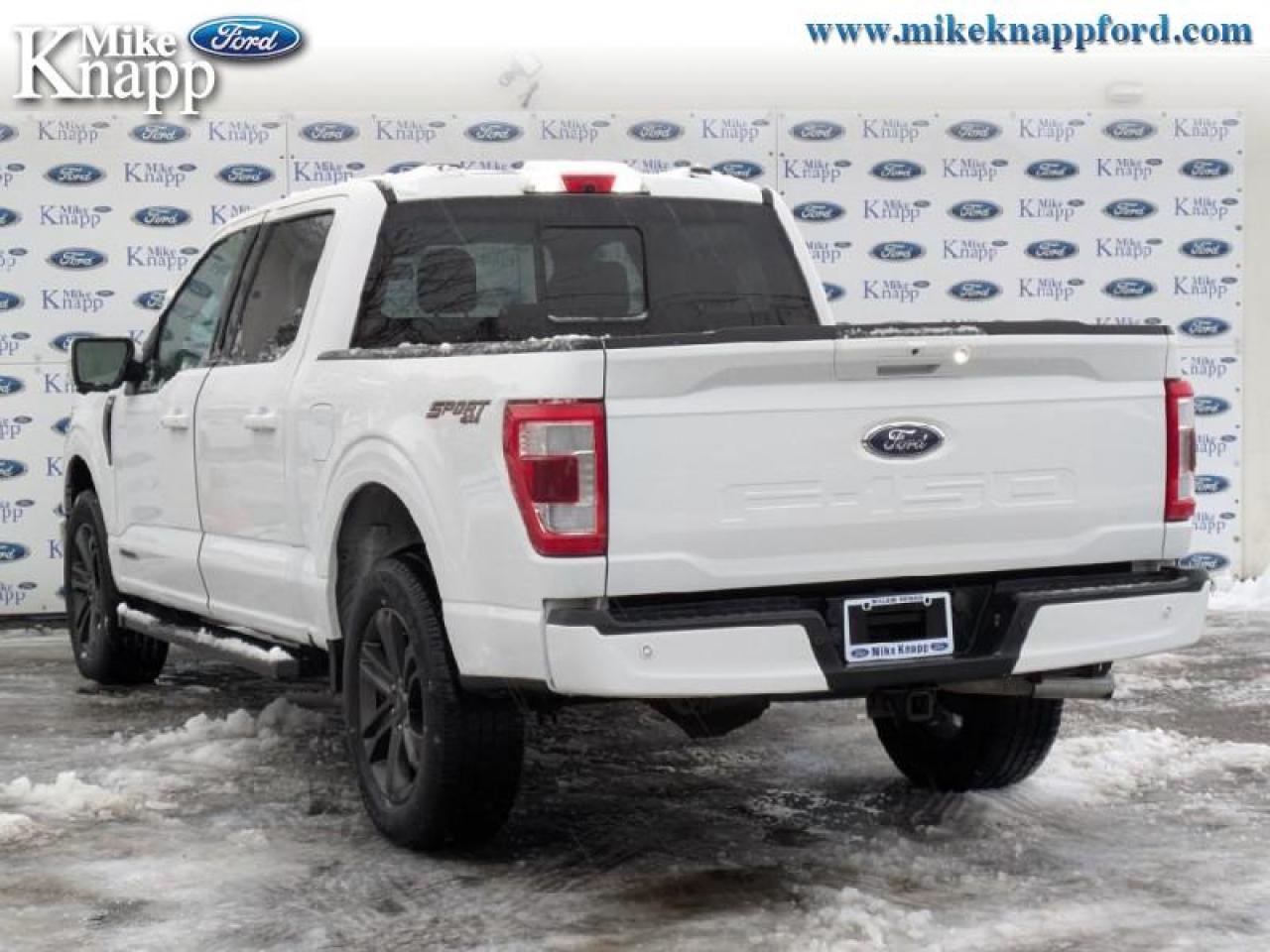 2021 Ford F-150 Lariat Photo2