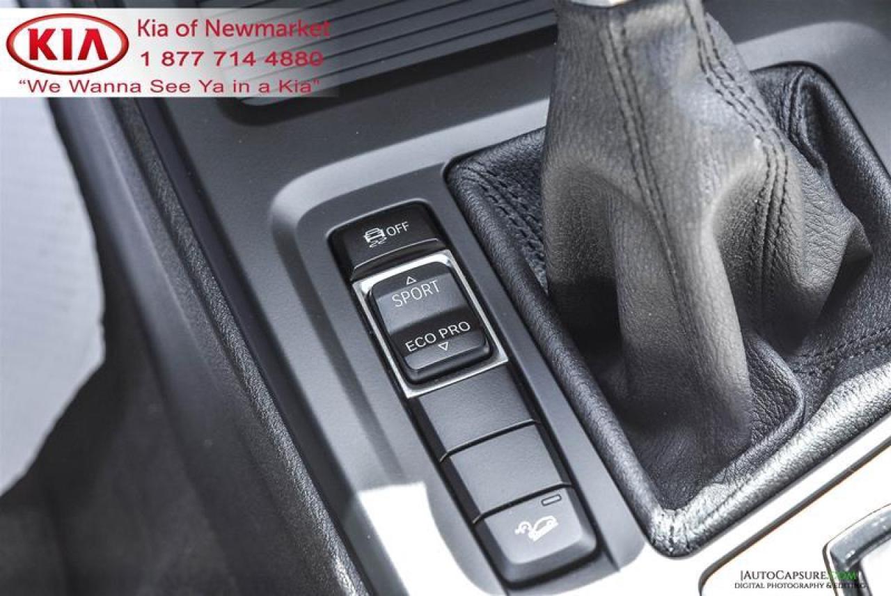 2017 BMW X1 xDrive28i 4dr All-wheel Drive Sports Activity Vehicle Photo