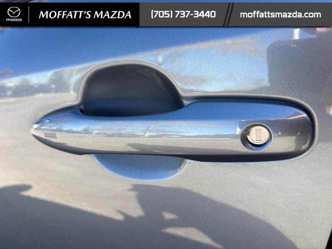 2024 Toyota Corolla LE Photo