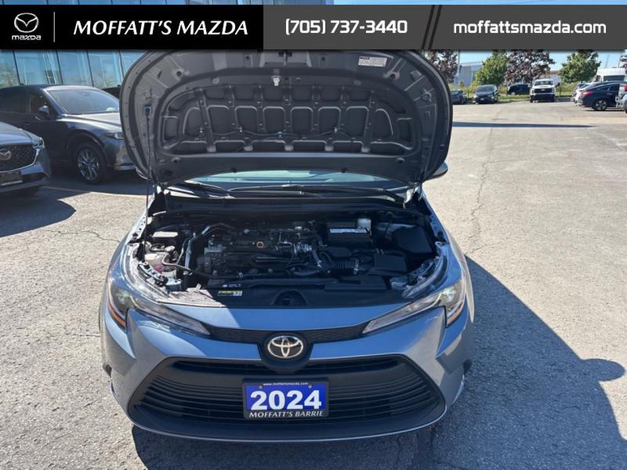 2024 Toyota Corolla LE Photo