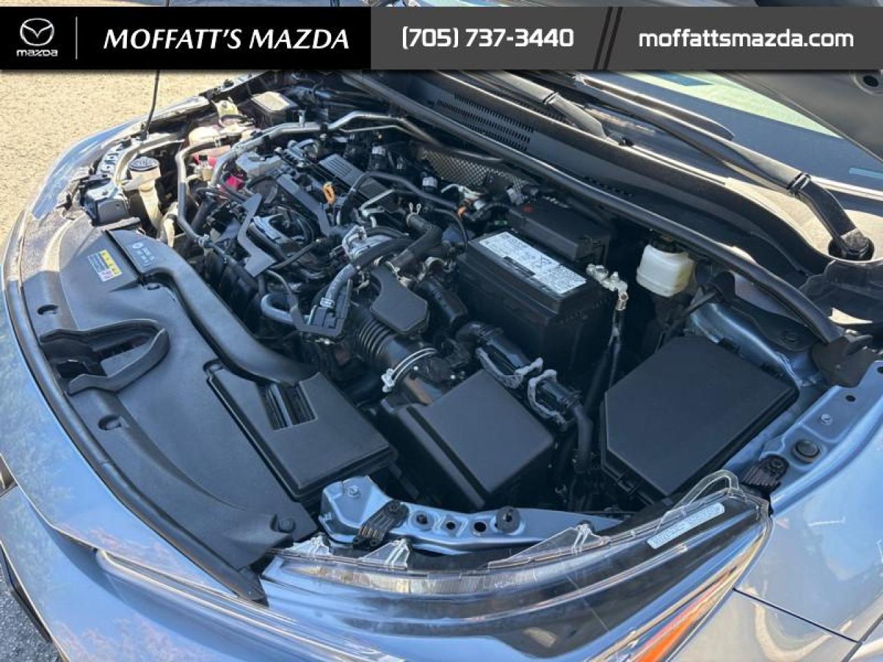 2024 Toyota Corolla LE Photo