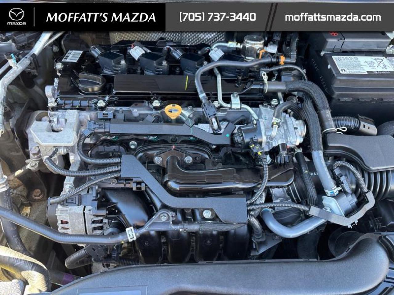 2024 Toyota Corolla LE Photo