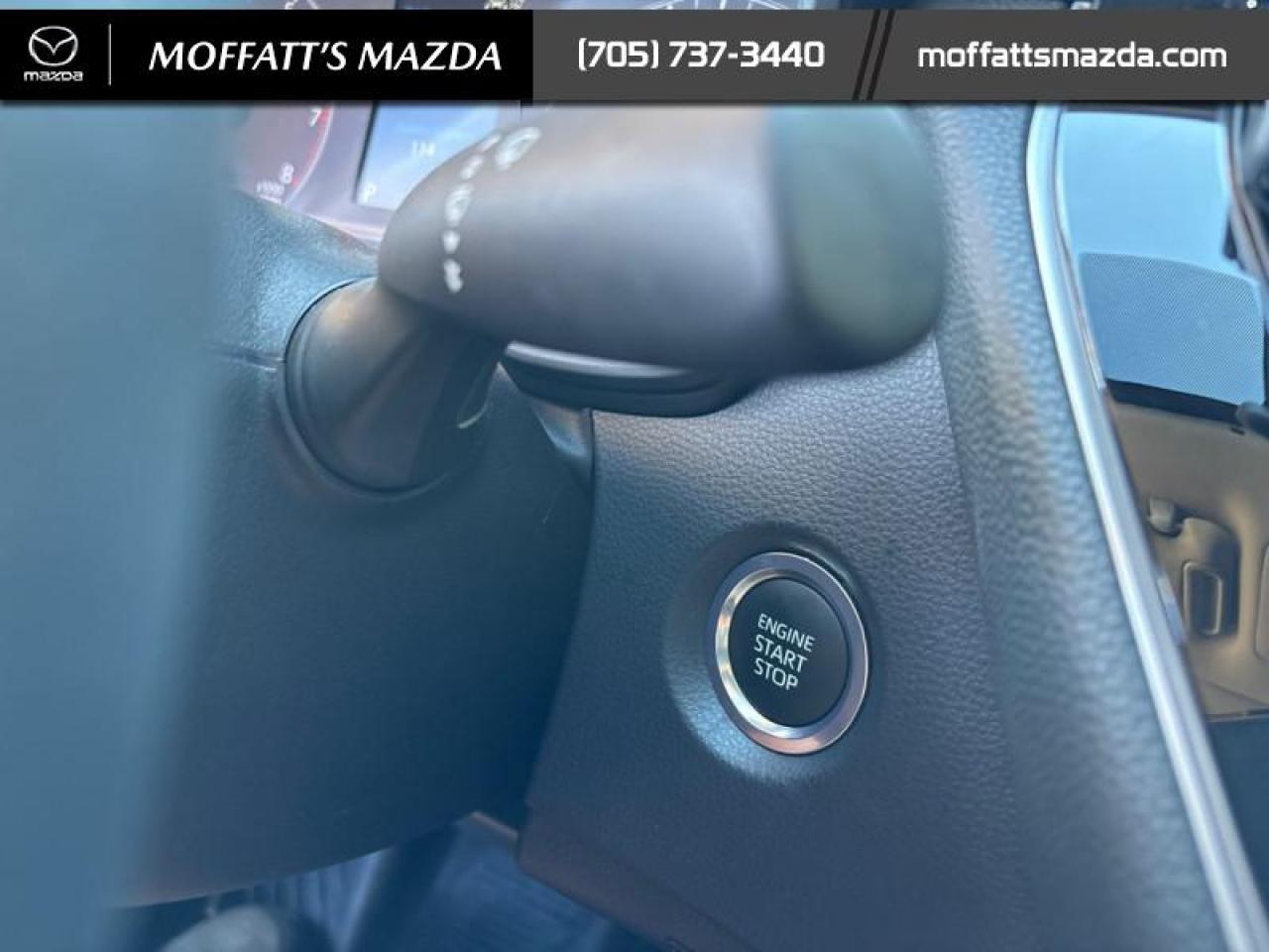 2024 Toyota Corolla LE Photo