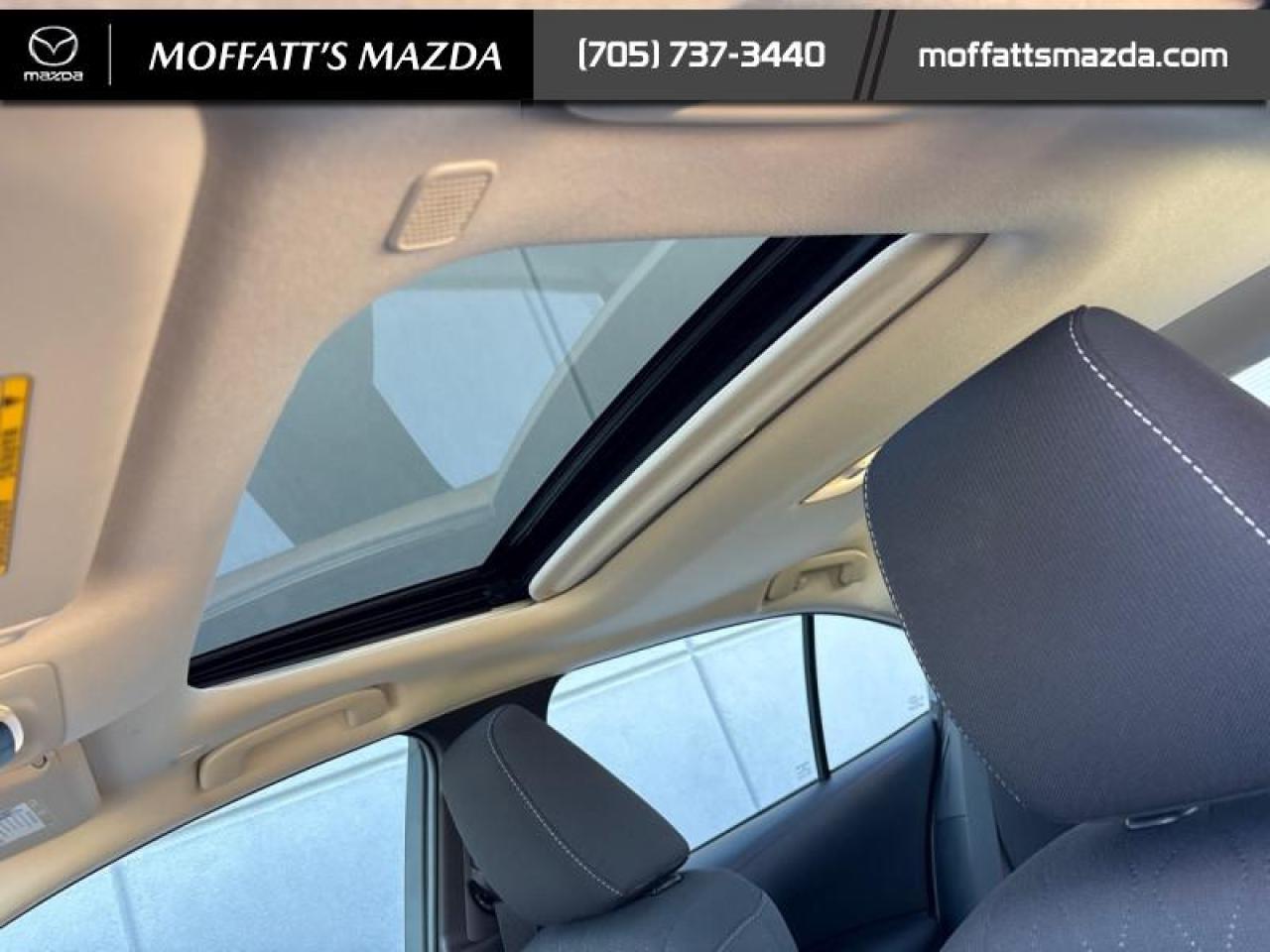 2024 Toyota Corolla LE Photo