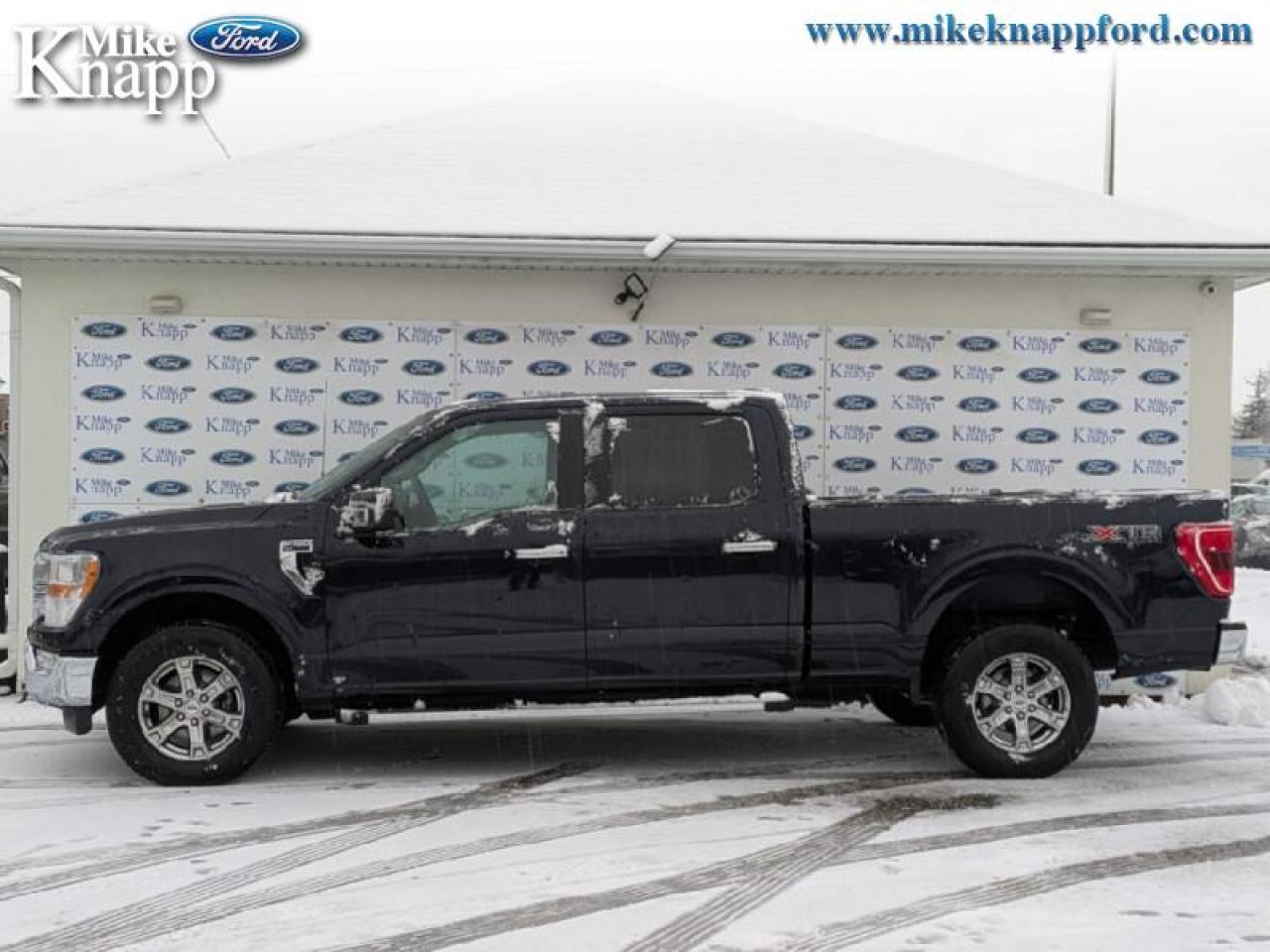 2021 Ford F-150 XLT Photo