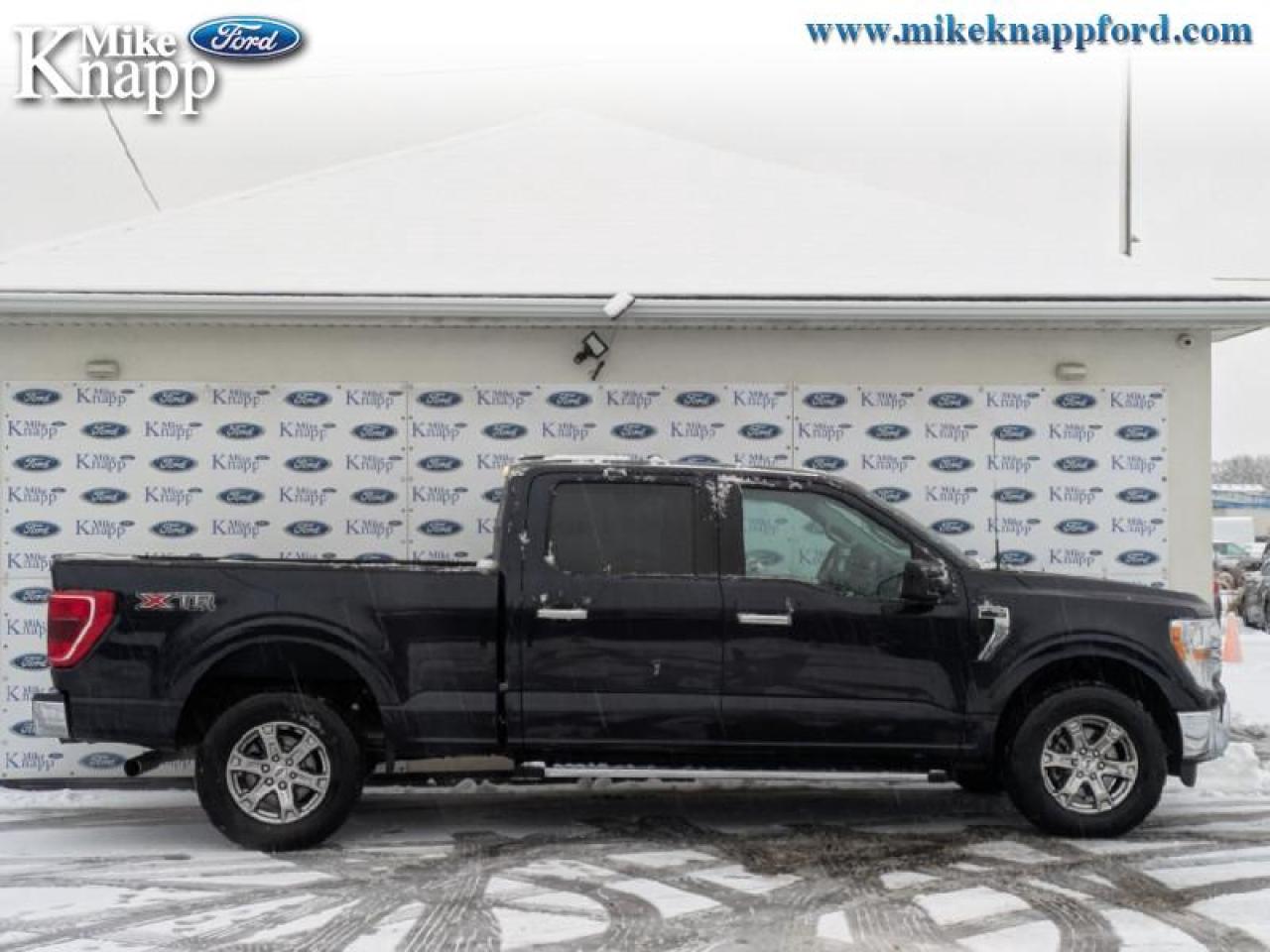 2021 Ford F-150 XLT Photo