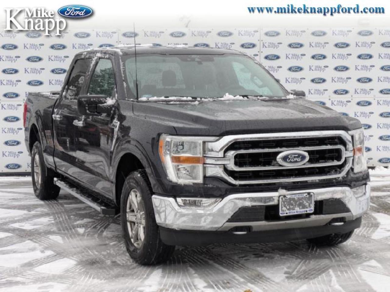 2021 Ford F-150 XLT Photo