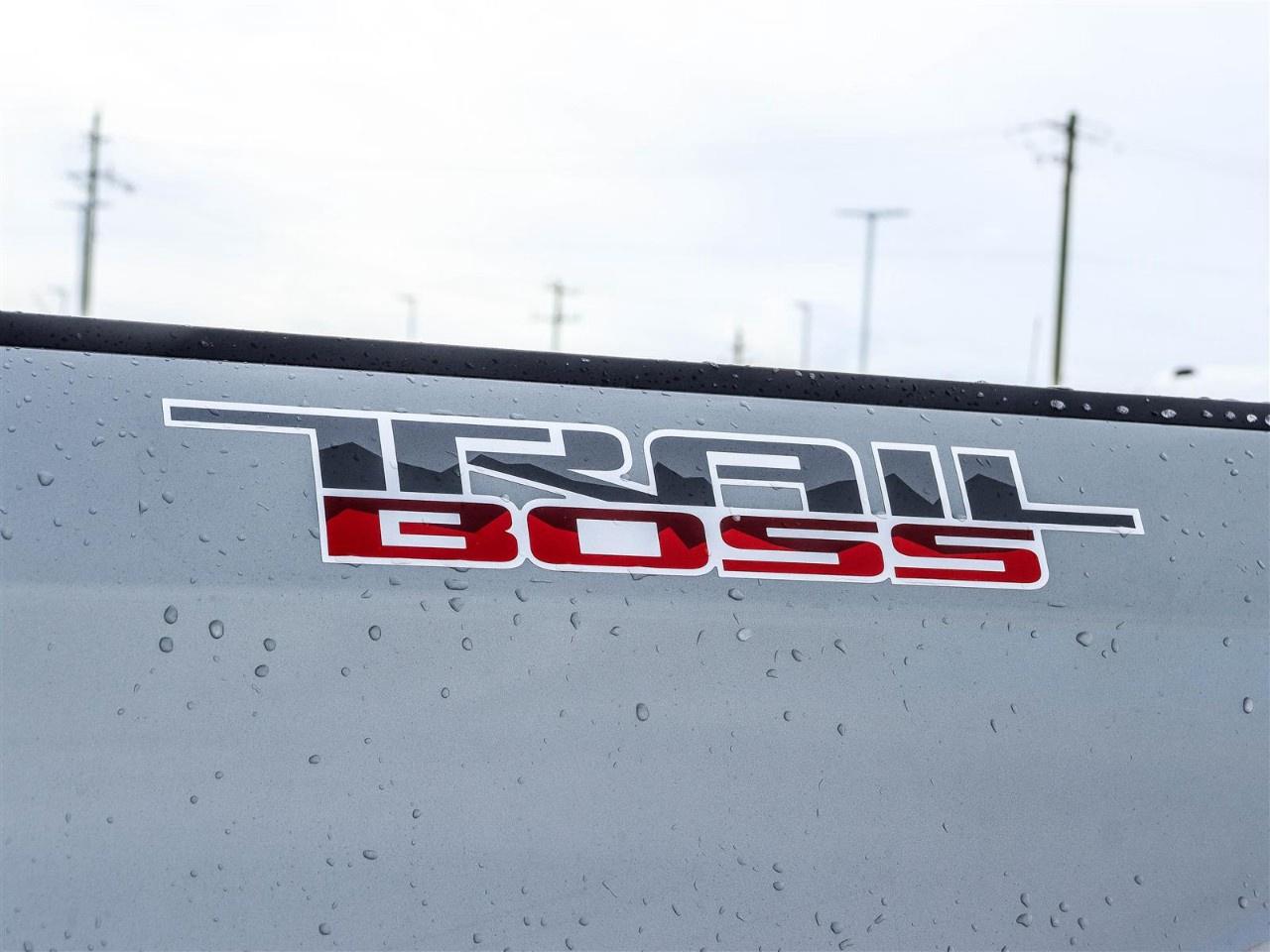 2026 Chevrolet Silverado 1500 Crew Cab Standard Box 4-Wheel Drive Custom Trail Boss Photo