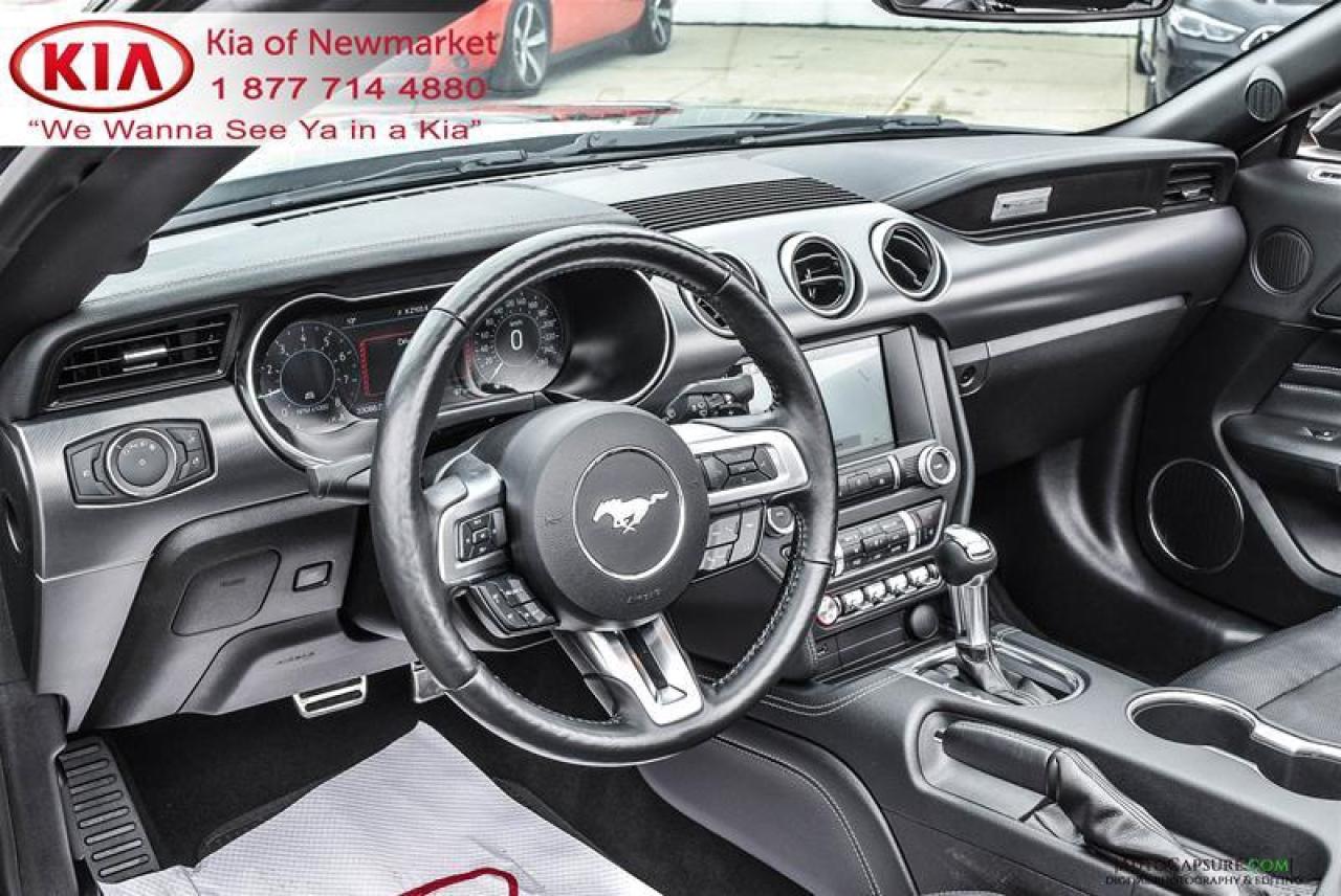 2019 Ford Mustang GT Premium 2dr Convertible Photo