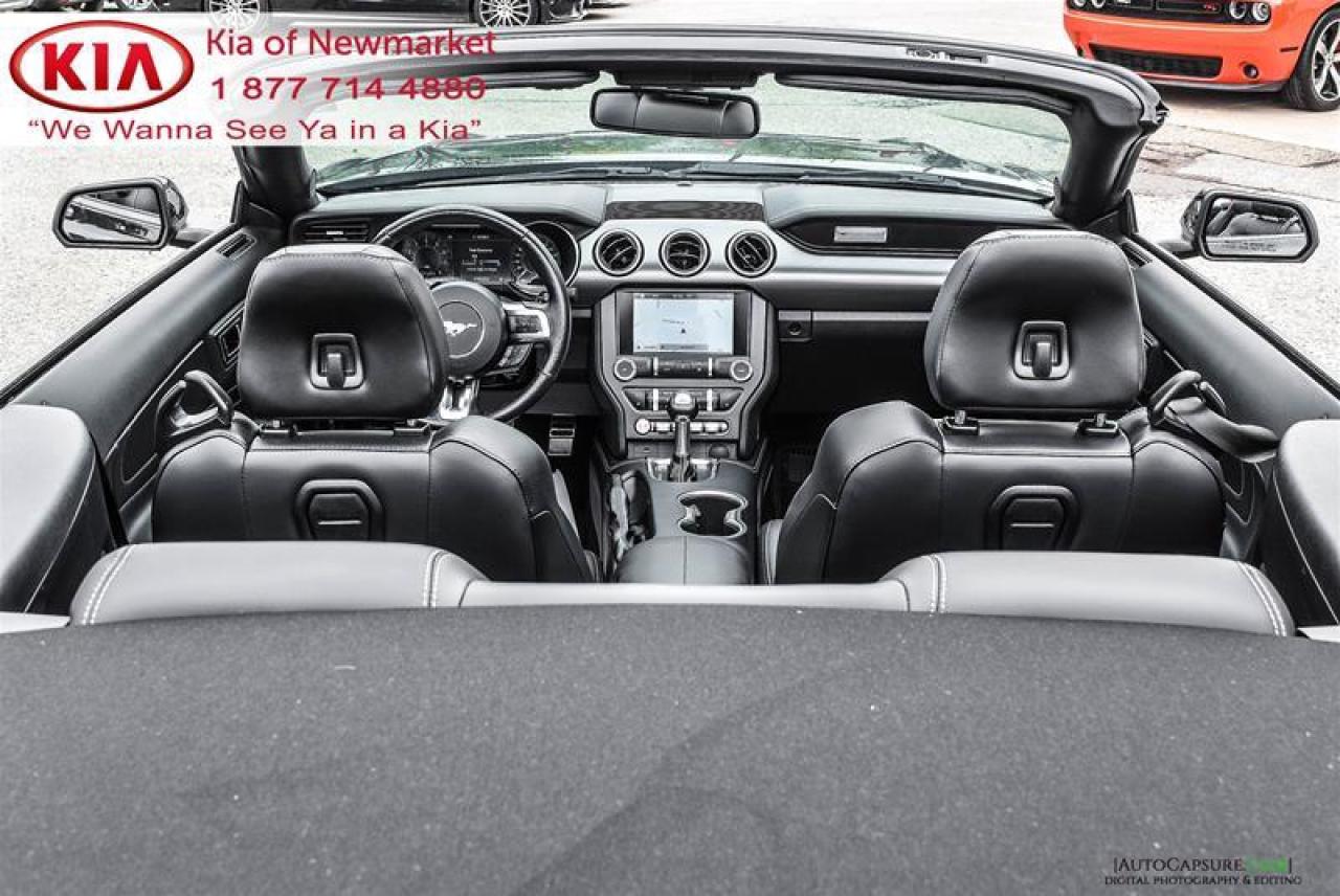 2019 Ford Mustang GT Premium 2dr Convertible Photo